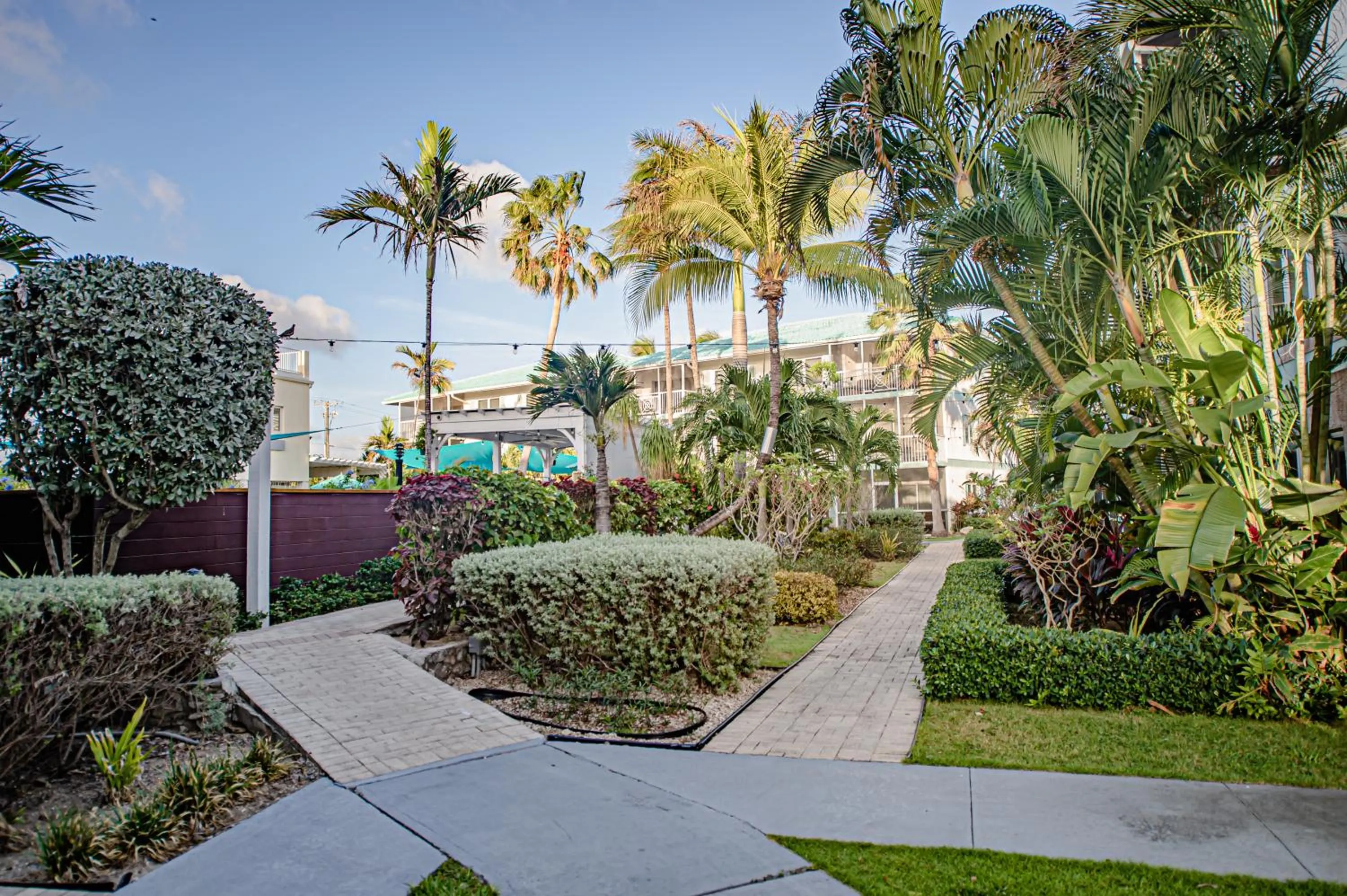 Garden in Seven Mile Beach Resort