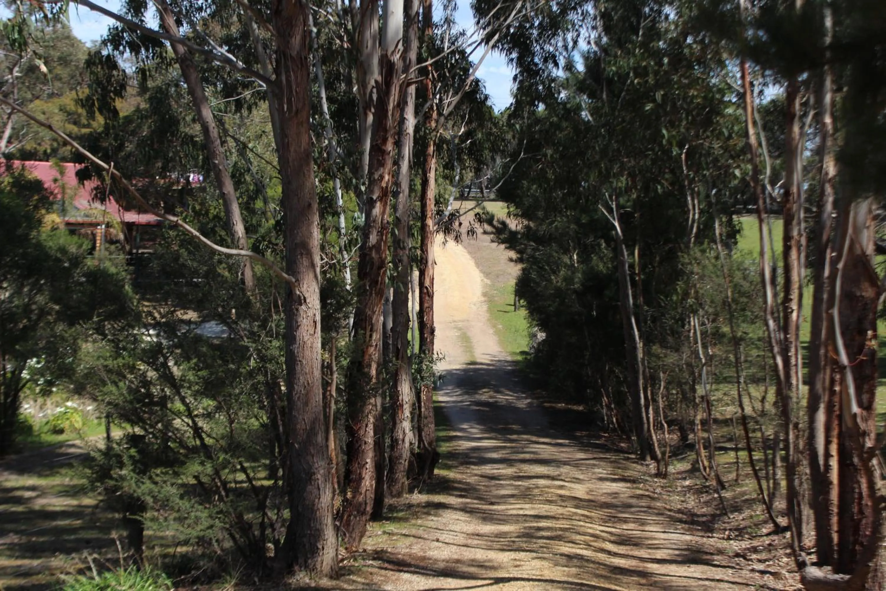 Natural landscape in Bells Estate Great Ocean Road Cottages