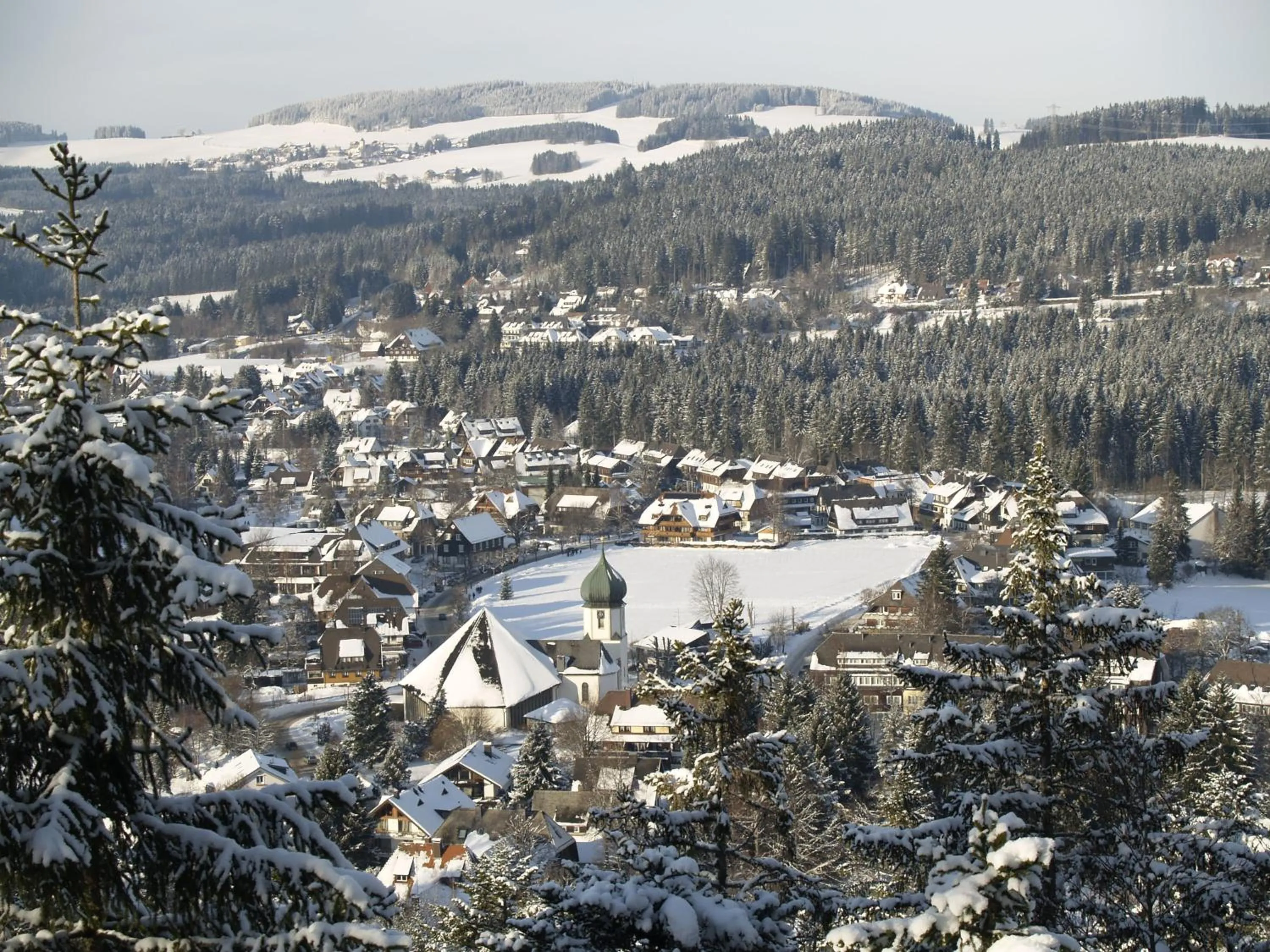 Natural landscape in Ferienwohnung Mattenweg 1a