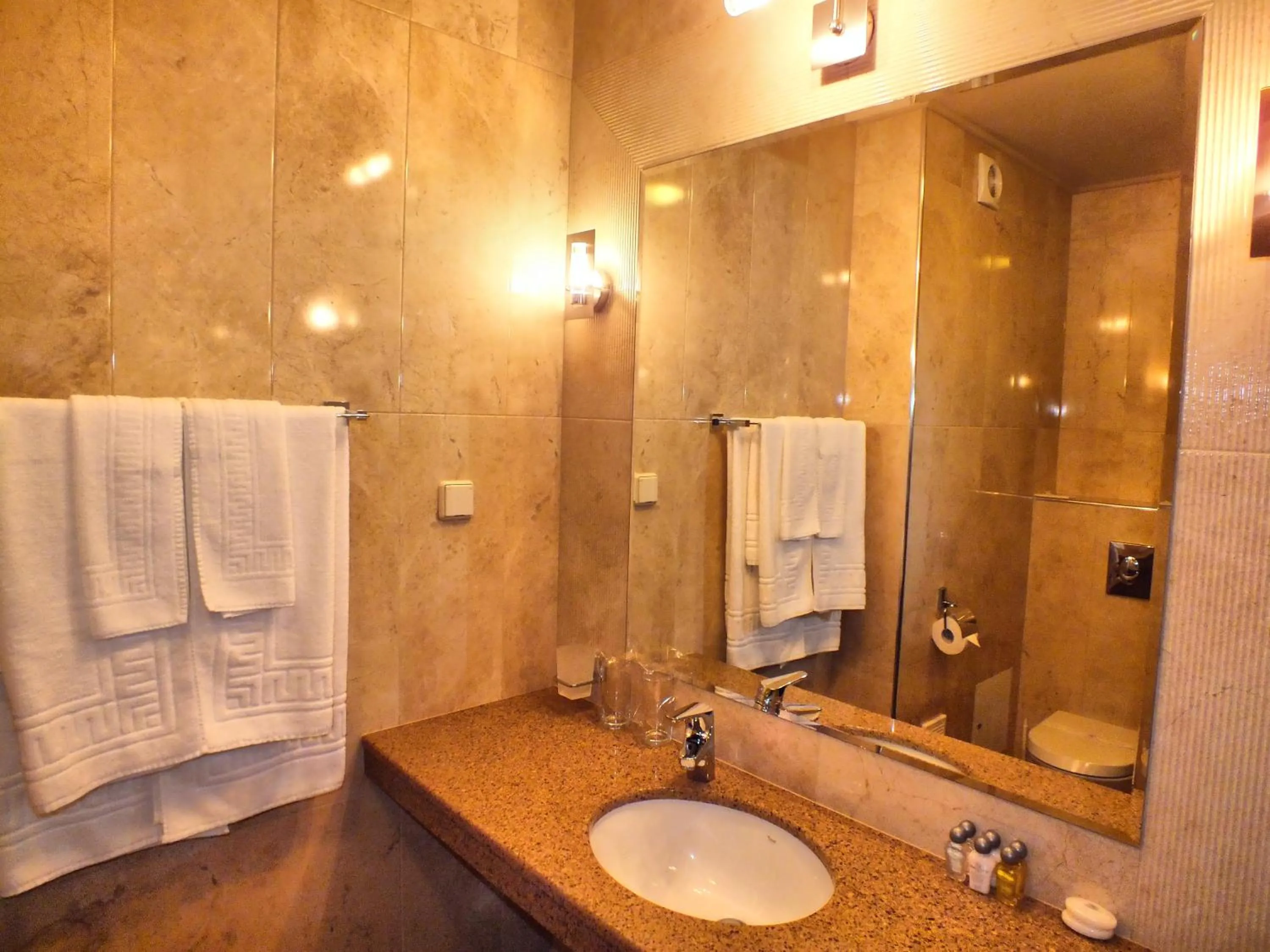 Bathroom in Hotel Dragalevtsi