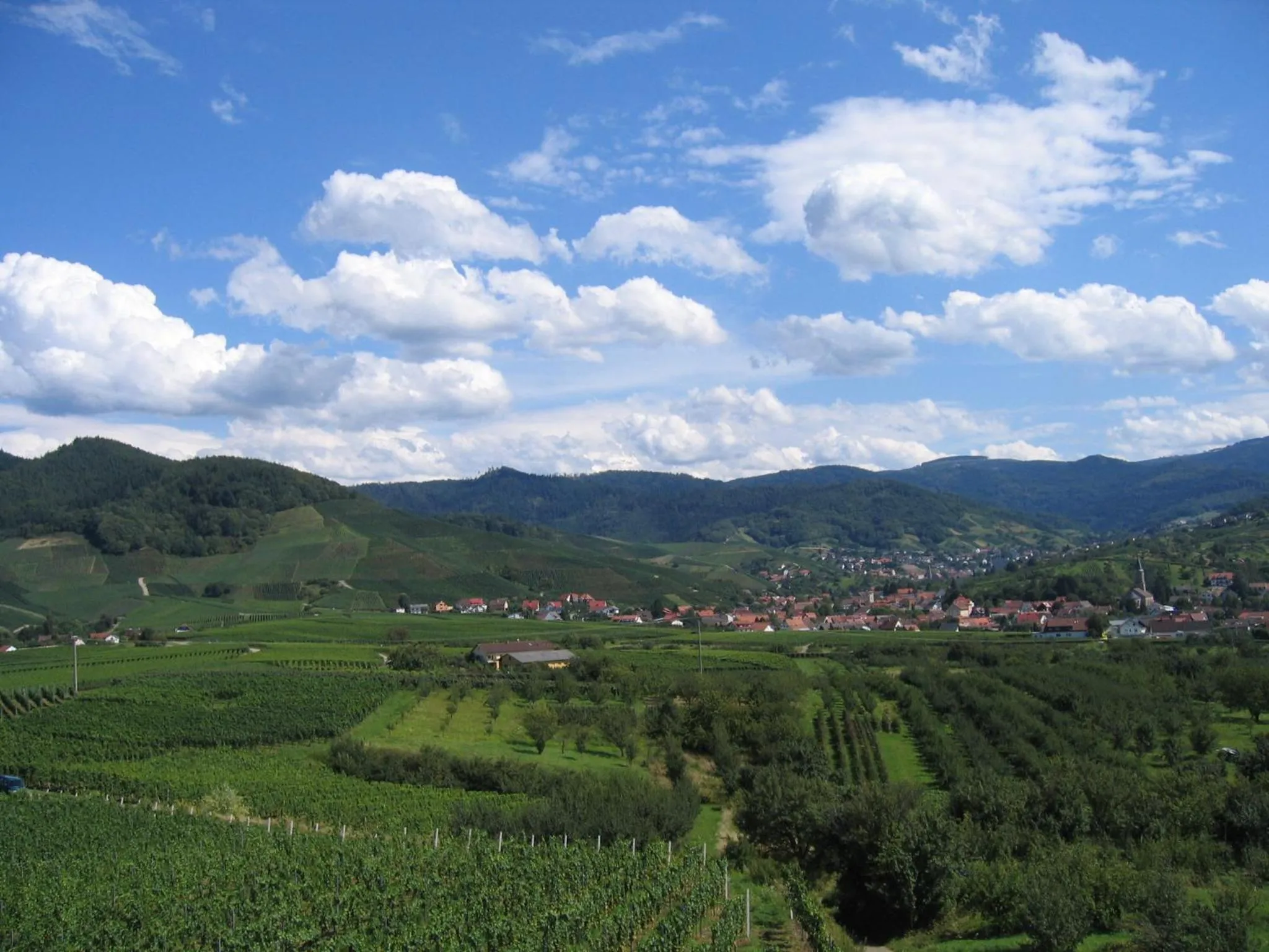 Area and facilities in Apartmenthaus Casa Palma