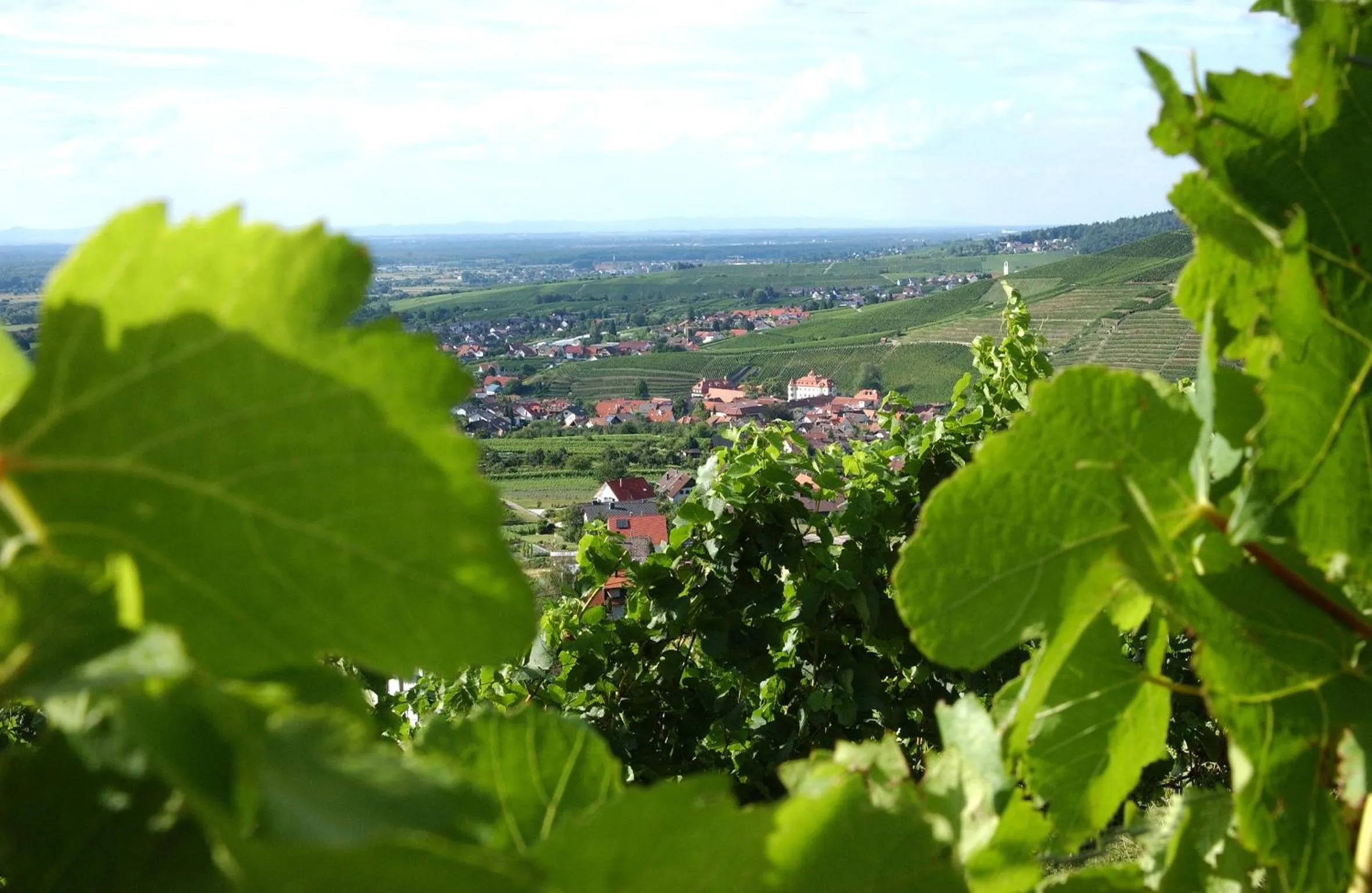 Area and facilities in Apartmenthaus Casa Palma