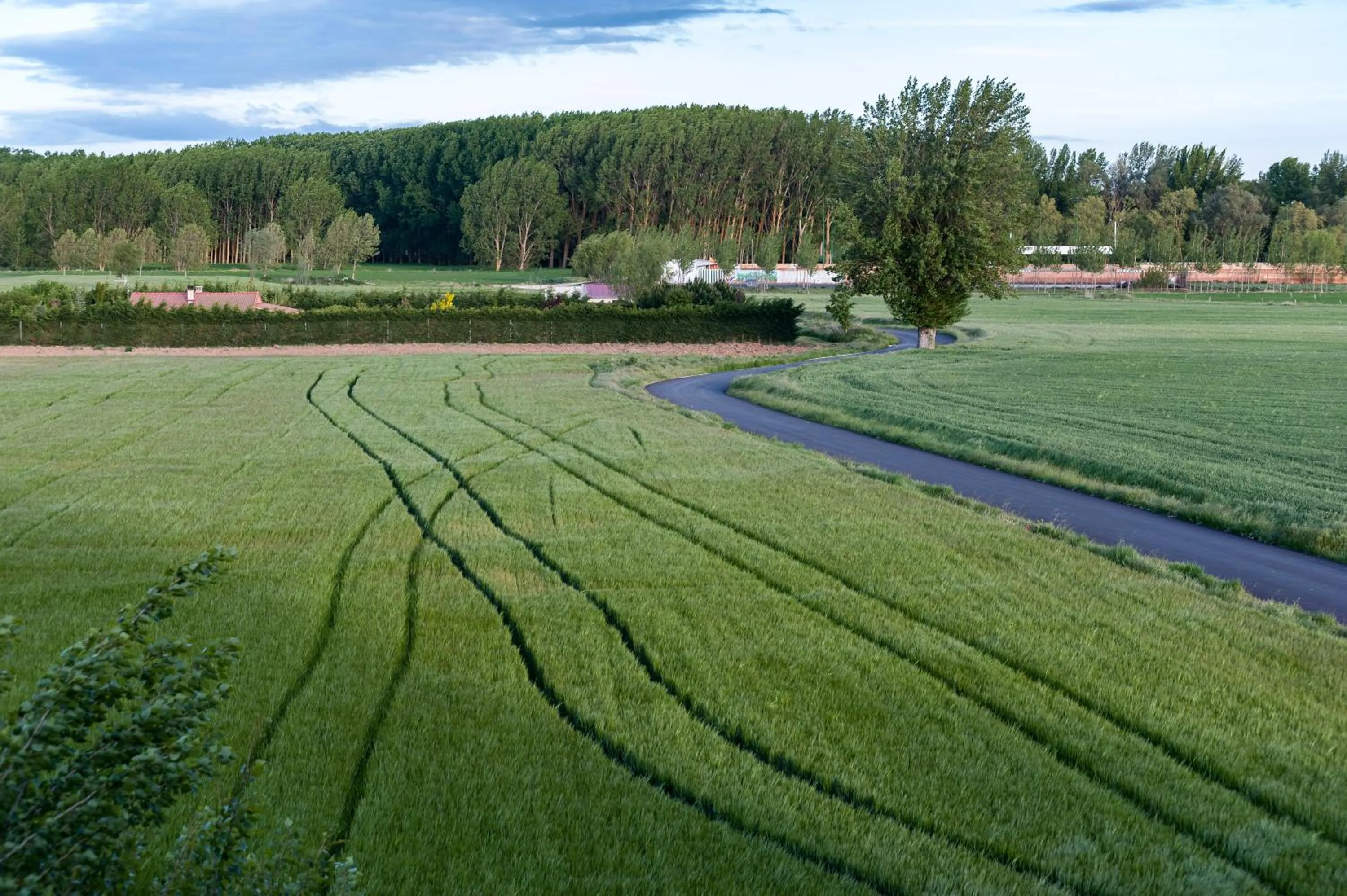 Natural landscape in Albergue turístico "La Fábrica"