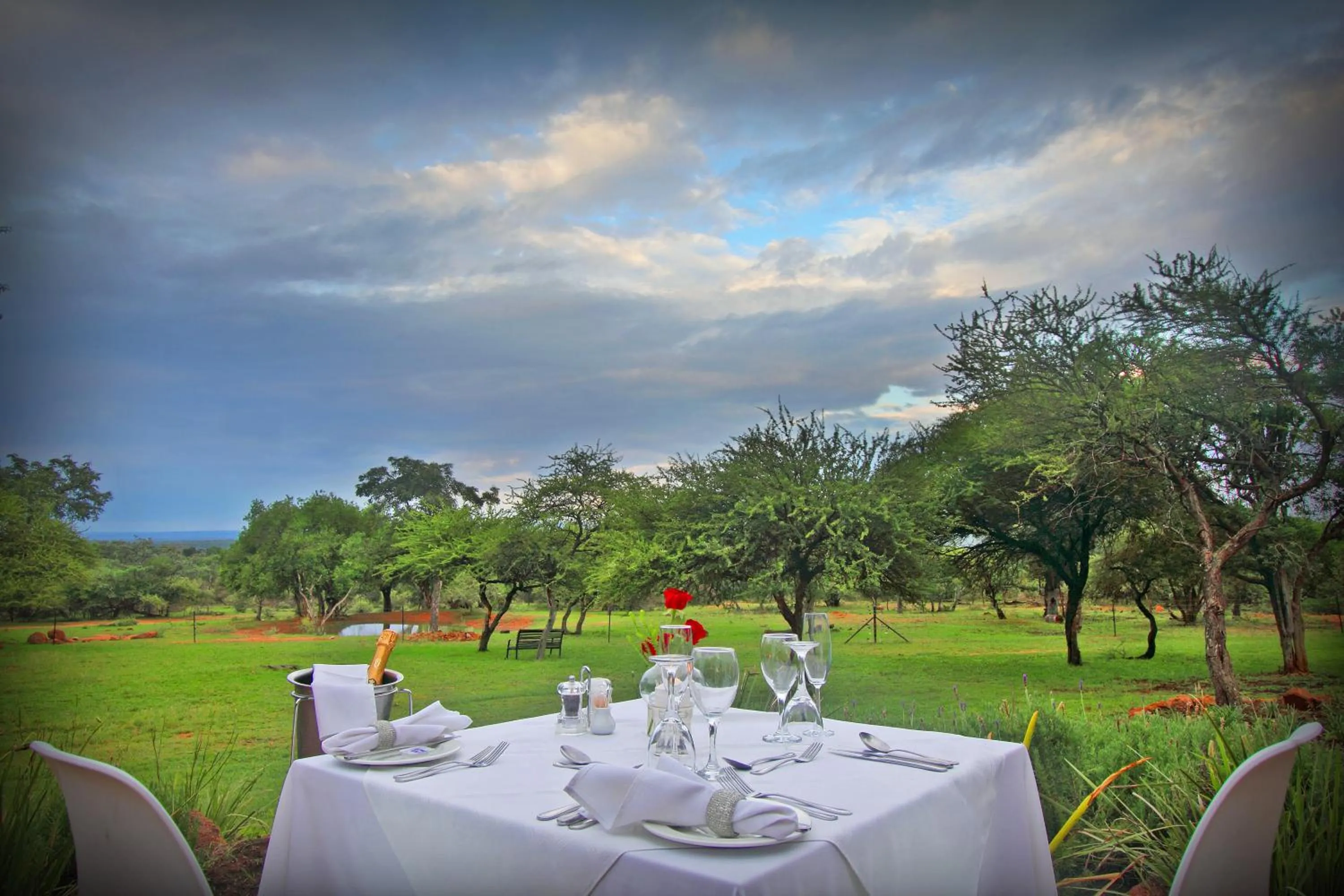 Dining area in Itaga Luxury Private Game Lodge
