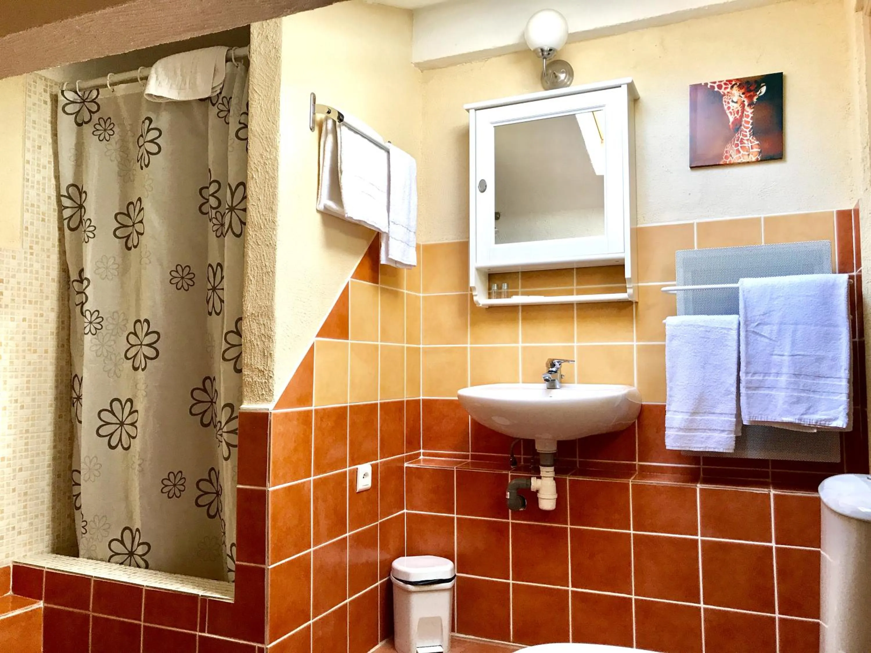 Shower in La Villa du Parc