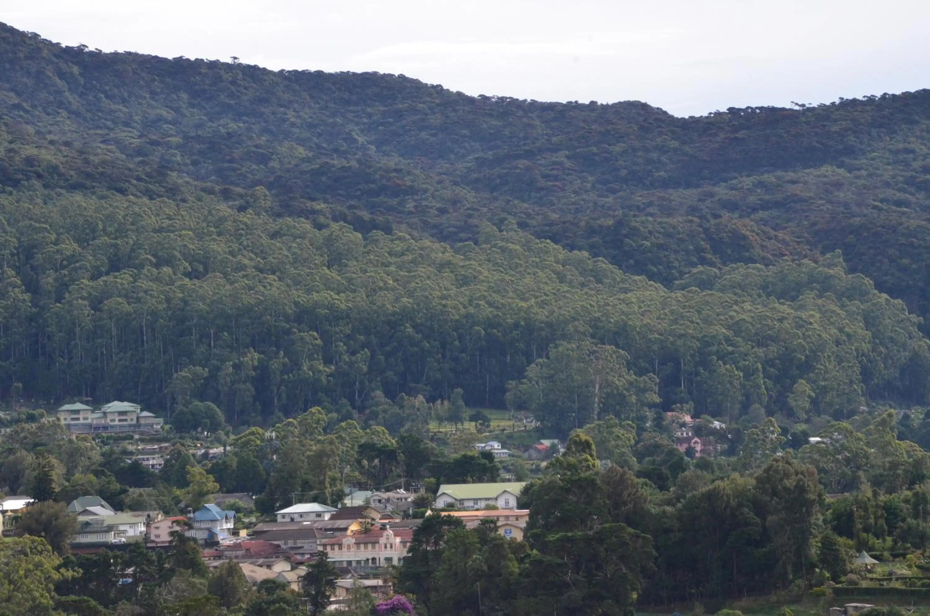 Natural landscape in Heaven Seven Nuwara Eliya