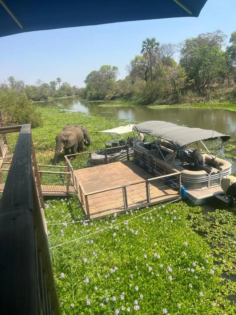Maramba River Lodge