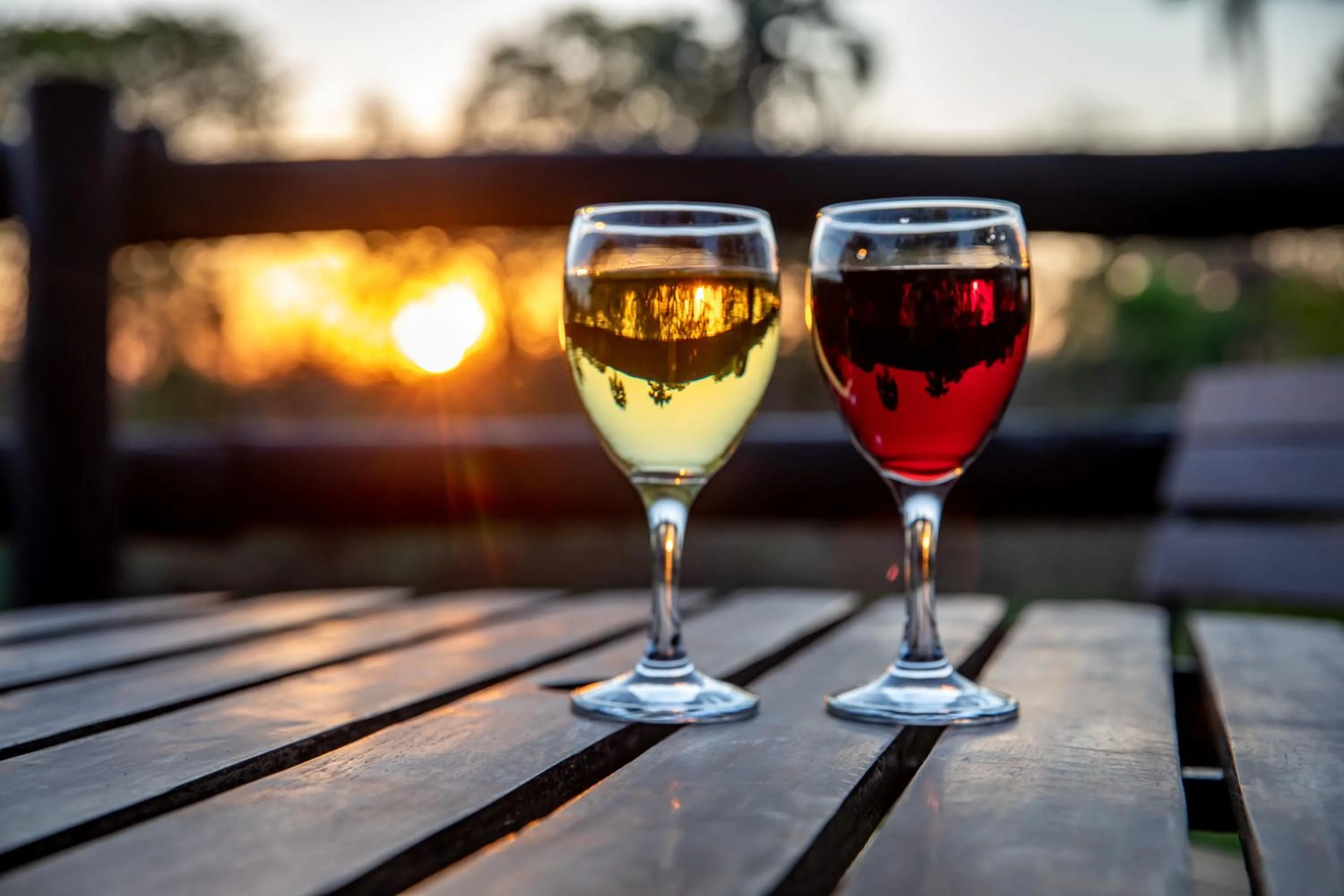 Alcoholic drinks in Maramba River Lodge