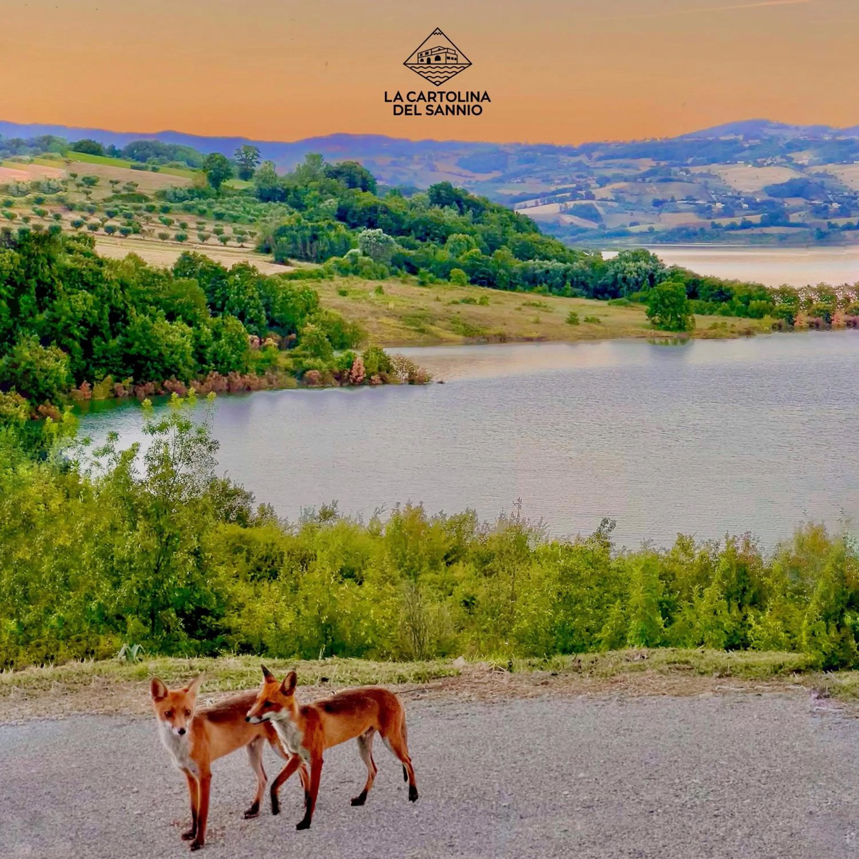 La Cartolina del Sannio