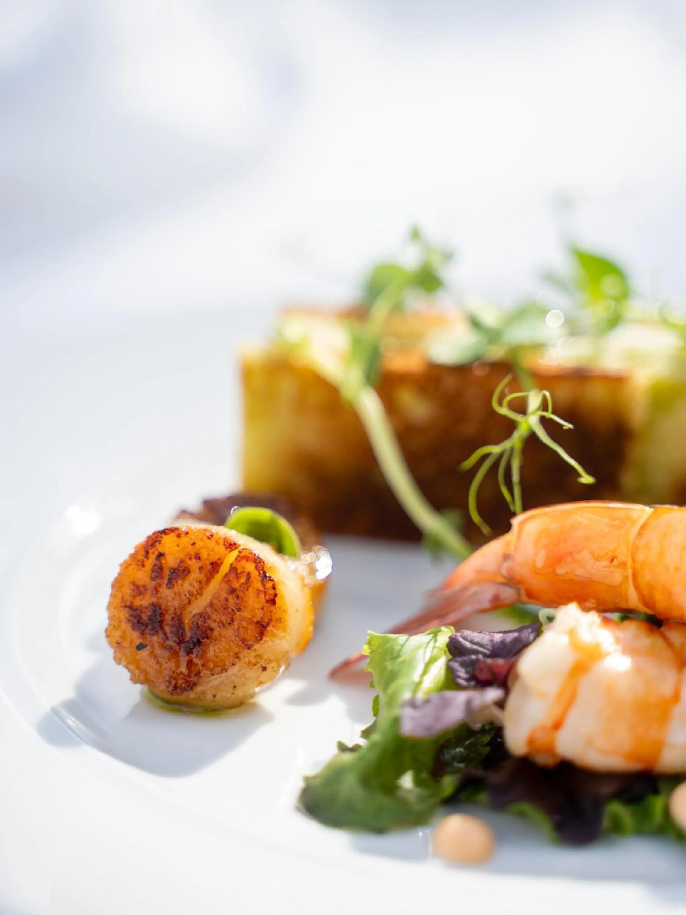 La Cartolina del Sannio