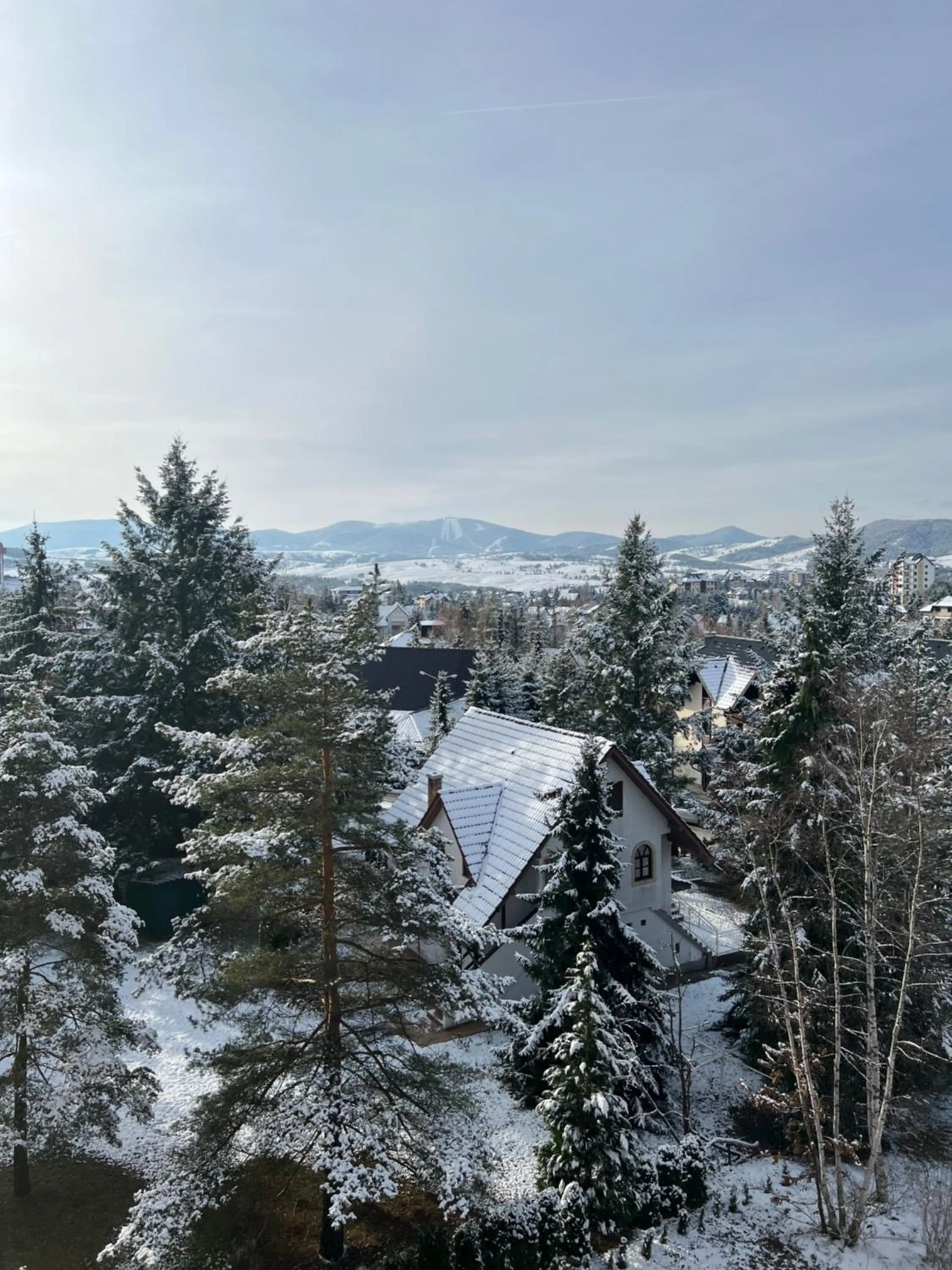 View (from property/room) in Queen of Zlatibor