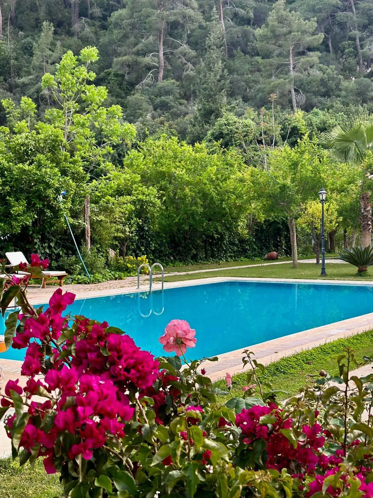 Sedir Palas Sedir Palas