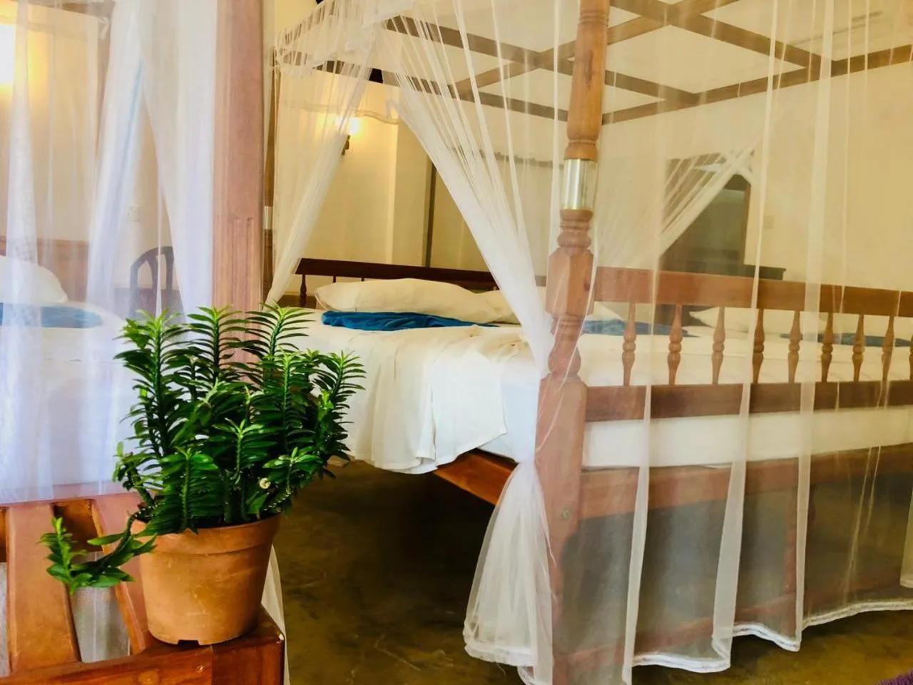 Photo of the whole room, Bed in Mirissa Beach Inn