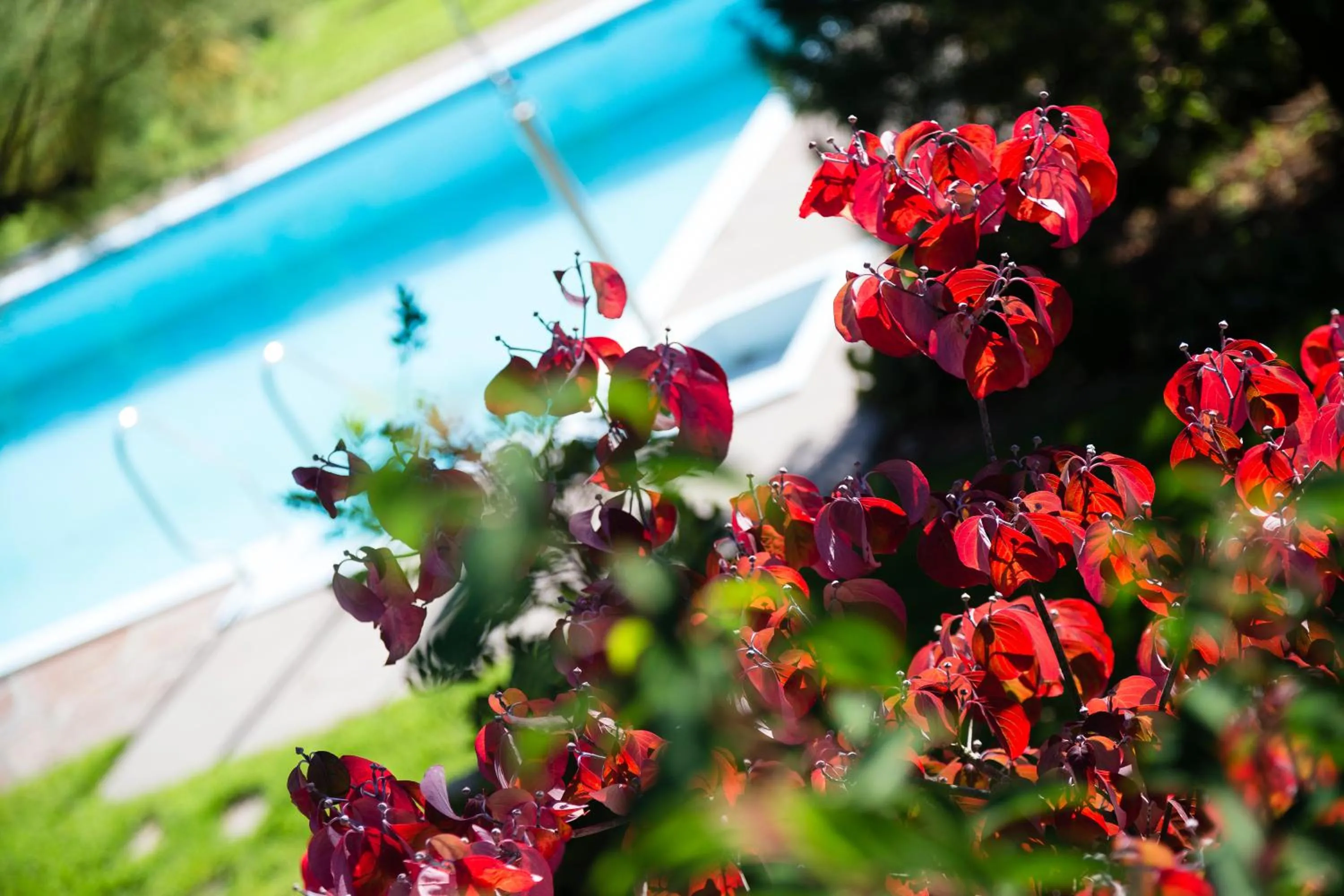 Balcony/Terrace in Garni Hotel Am Meilenstein