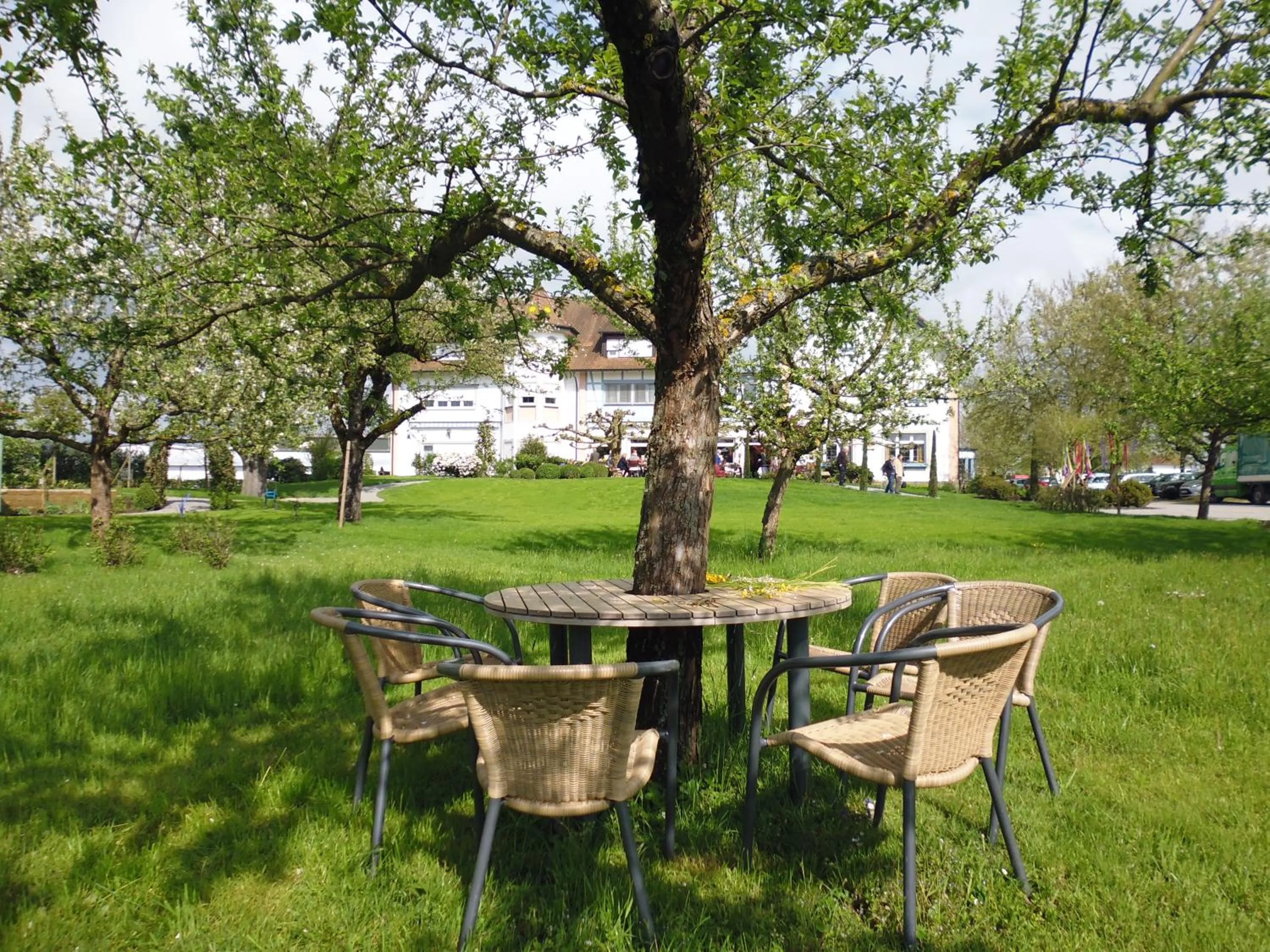 Patio in Reck's Hotel-Restaurant
