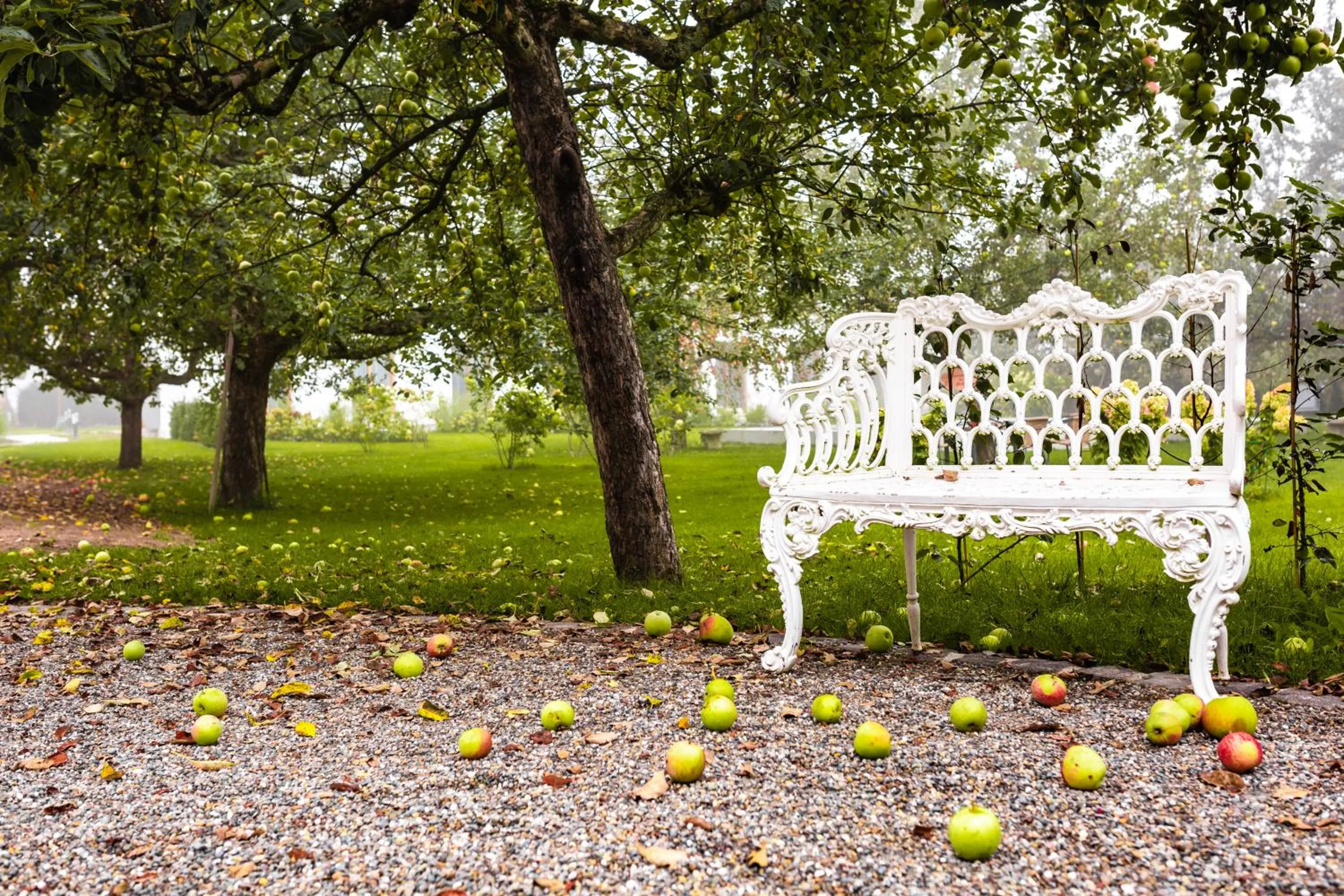 Garden in Reck's Hotel-Restaurant