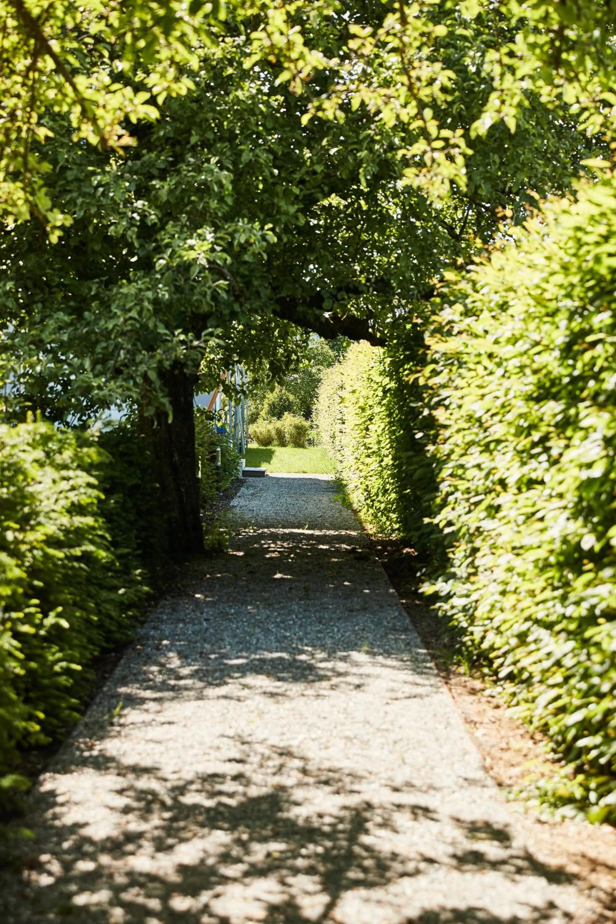 Garden in Reck's Hotel-Restaurant