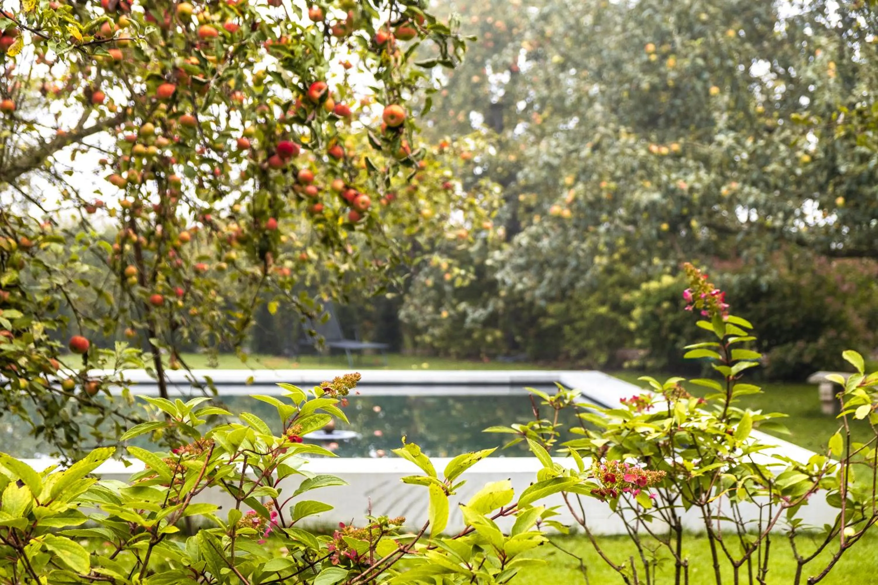 Garden view in Reck's Hotel-Restaurant