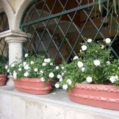 Casita Montana Hotel