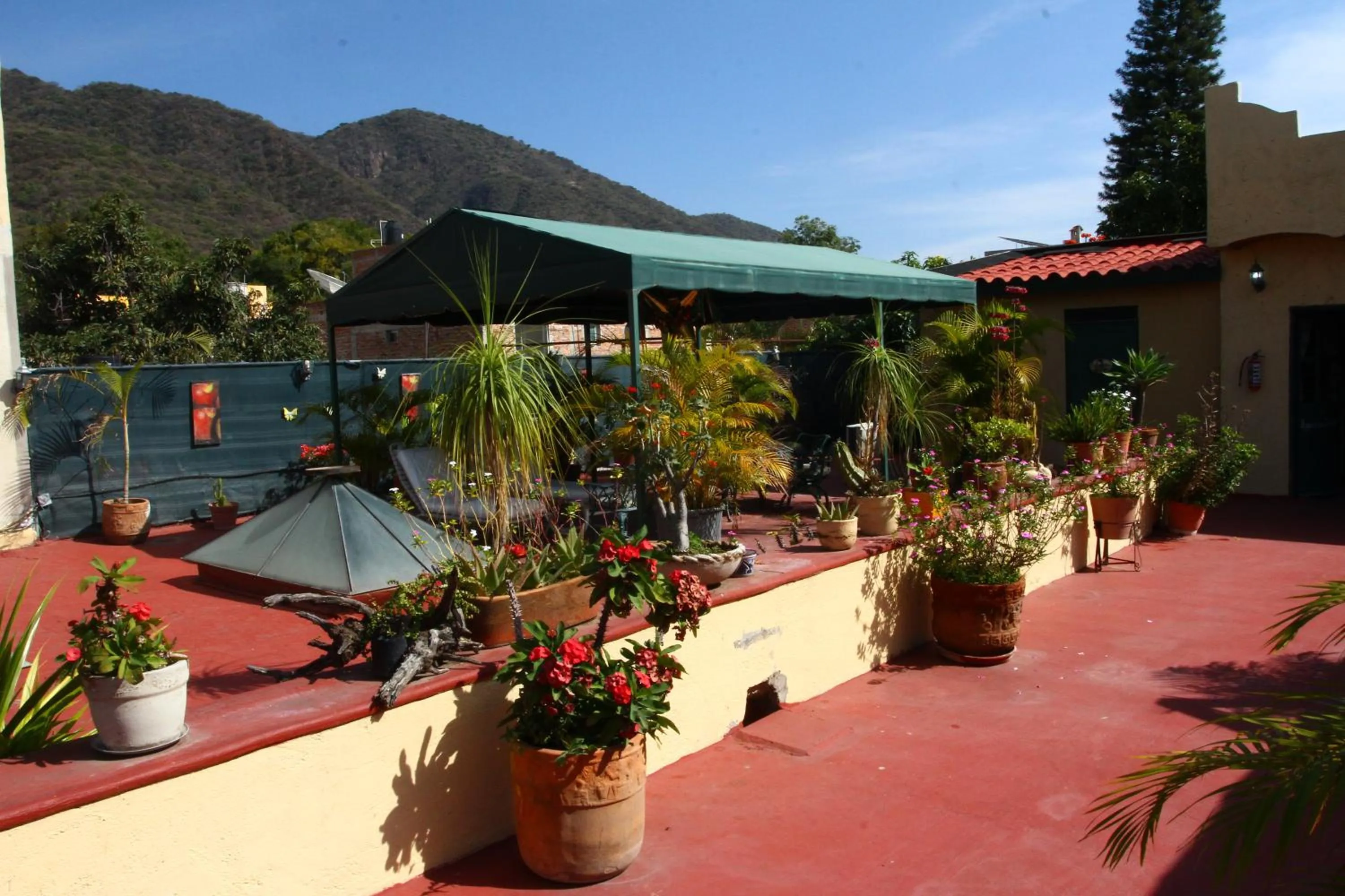 Balcony/Terrace in Casita Montana Hotel