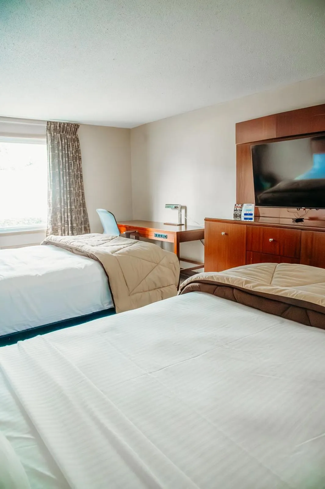 Bed in Country Garden & Suites