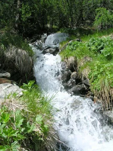 Natural landscape in Pension Hofer