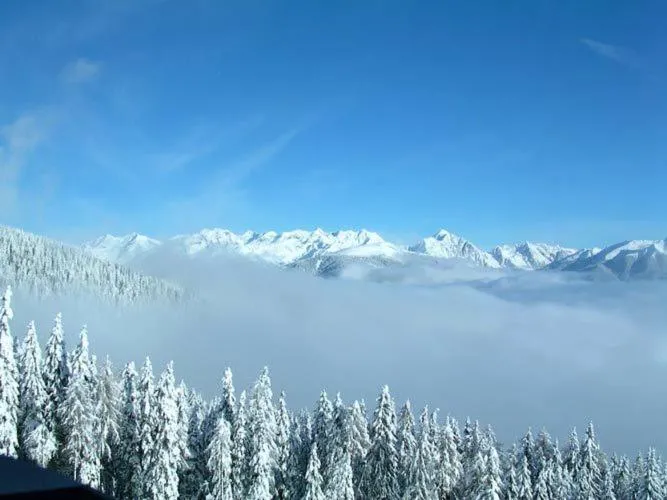 Mountain view in Pension Hofer