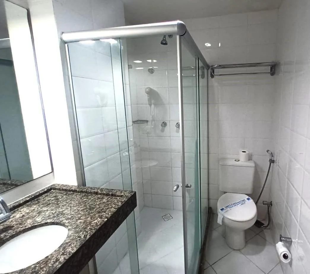 Toilet in Ambassador Flat