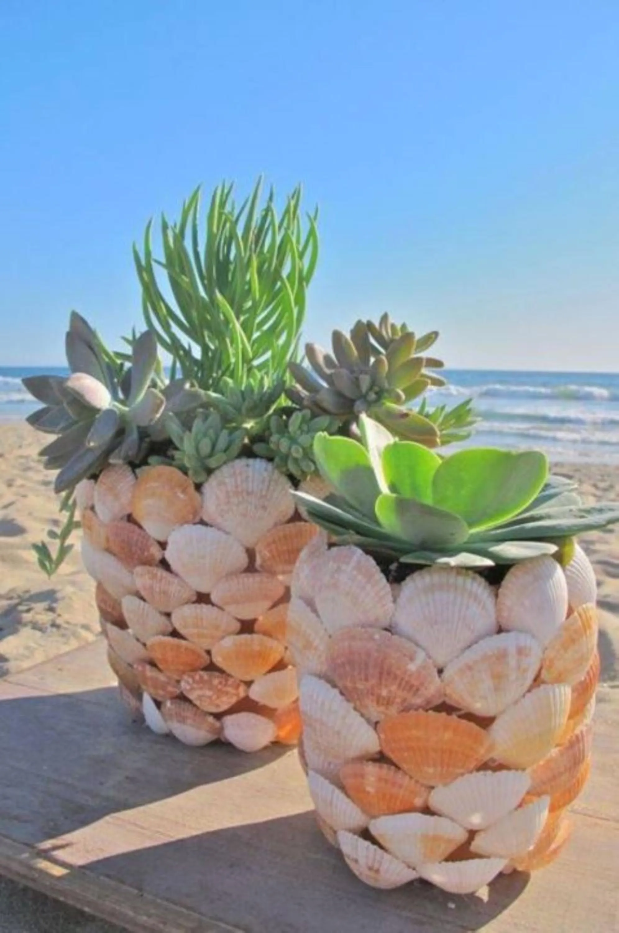 Nearby landmark in RedDoorz at Sir G Hotel D'Mall Boracay