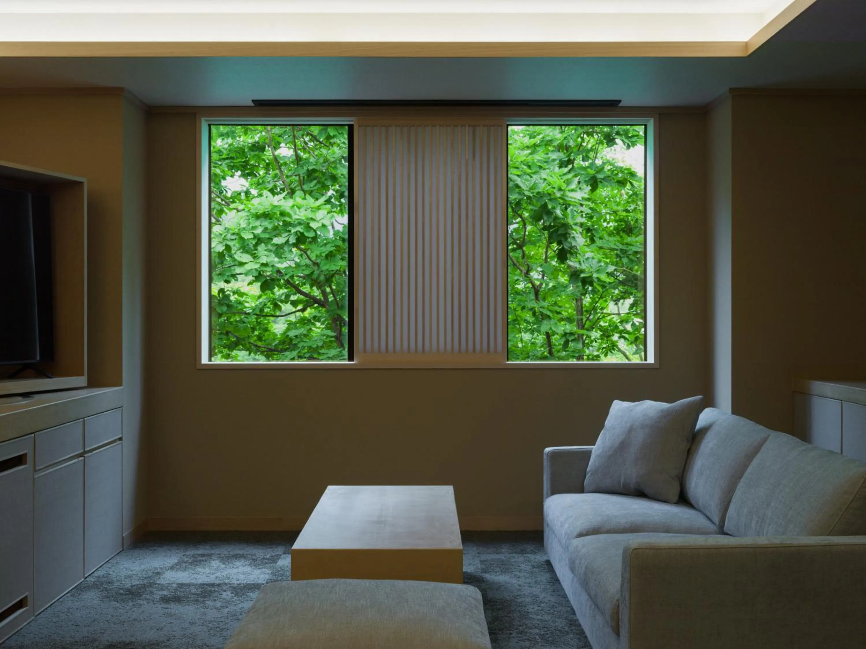 TV and multimedia in Suigan