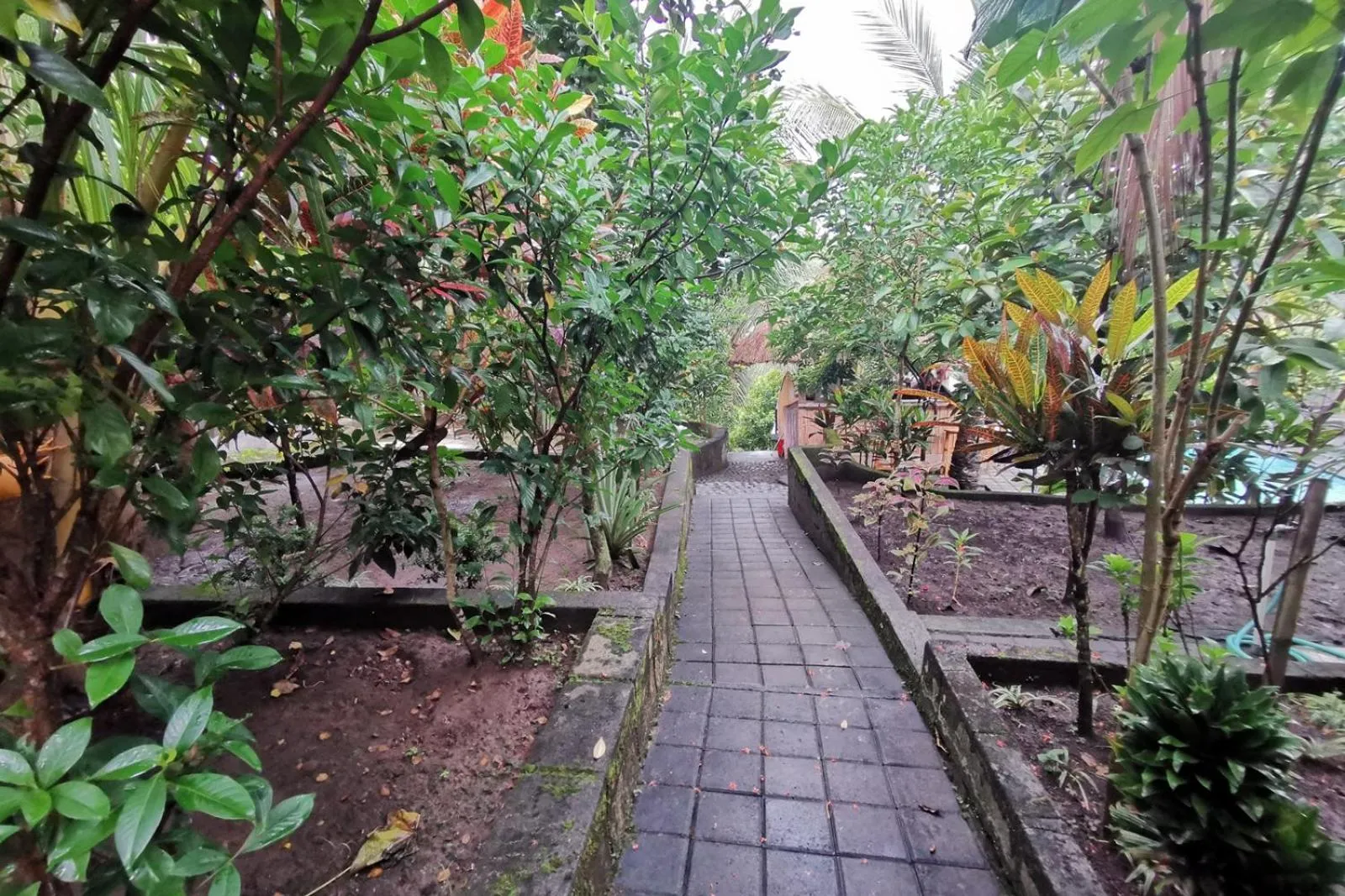 Street view in Balian Green Lagoon