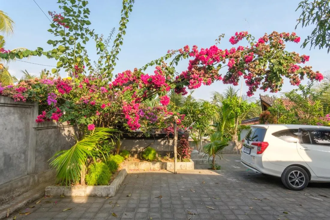 Parking in Balian Green Lagoon