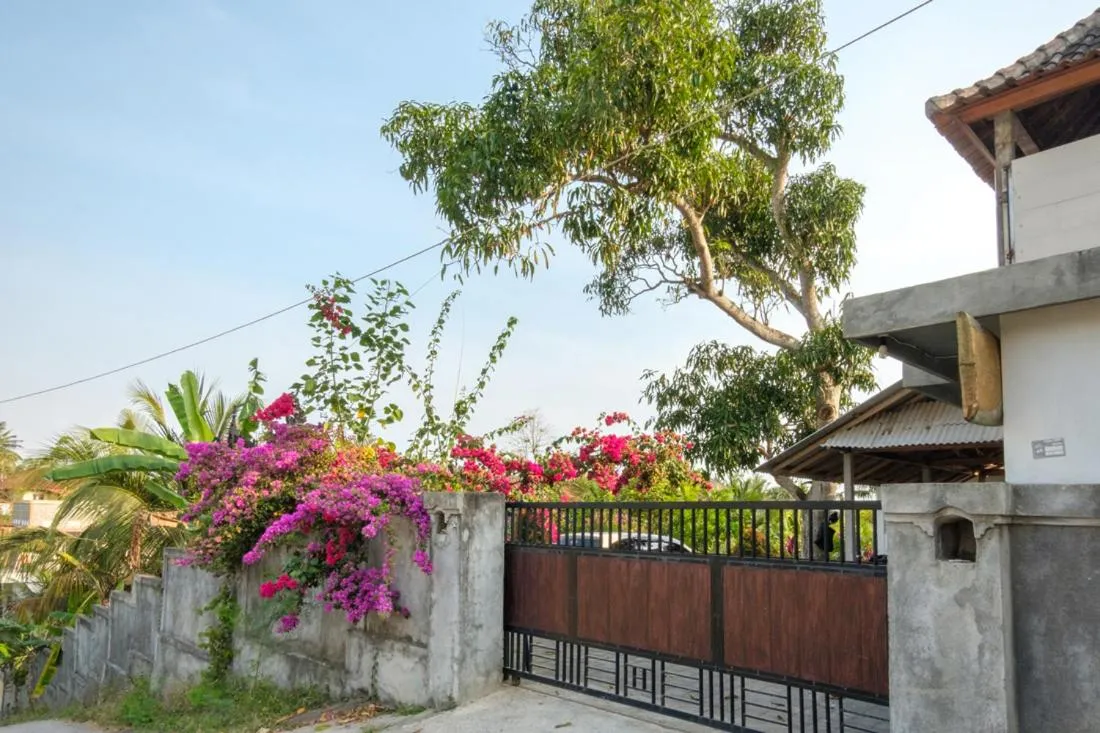 Street view in Balian Green Lagoon