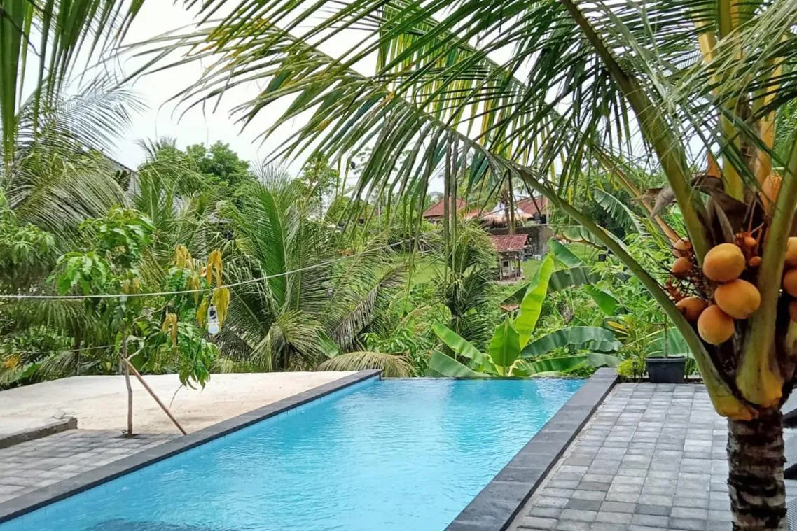 Swimming pool in Balian Green Lagoon