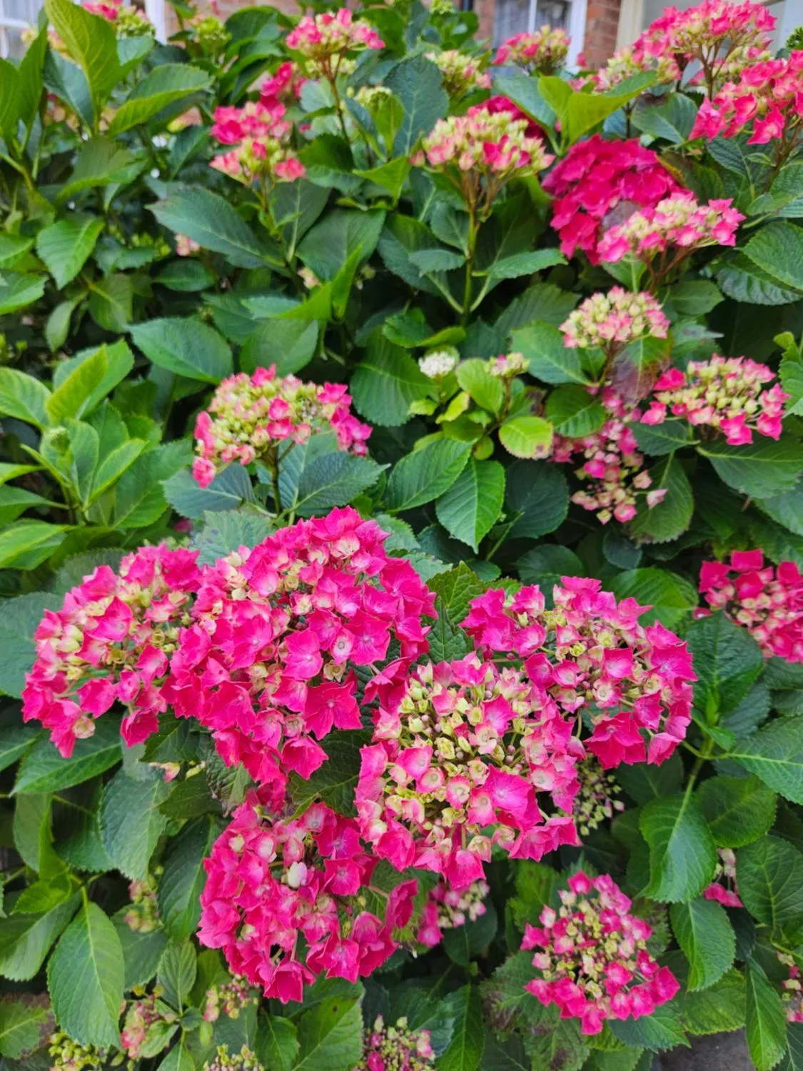 Property building in Belmont Hotel Leicester