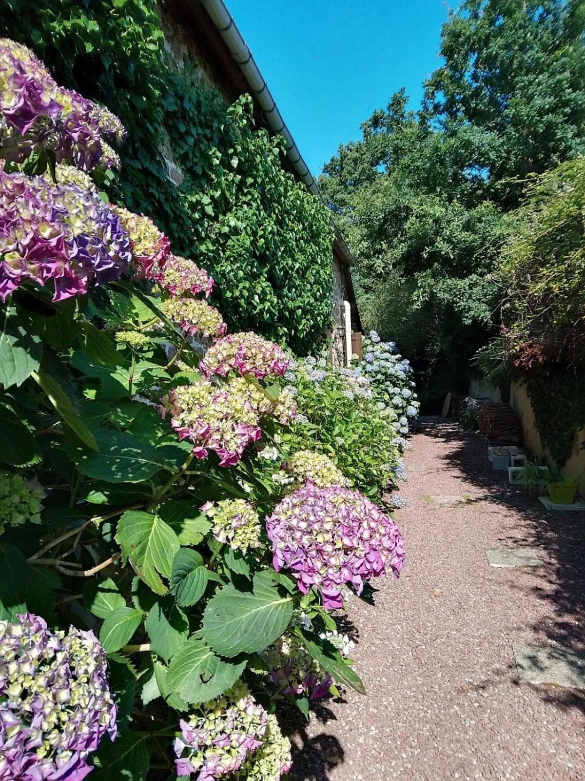 Day in La Chevallerie - Exclusive tranquil oasis