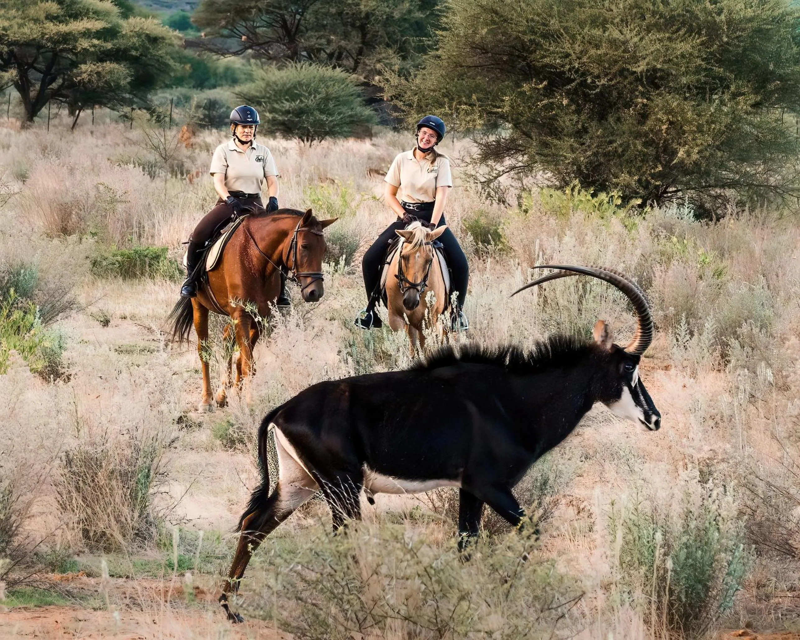 Horse-riding in Gabus Safari Lodge