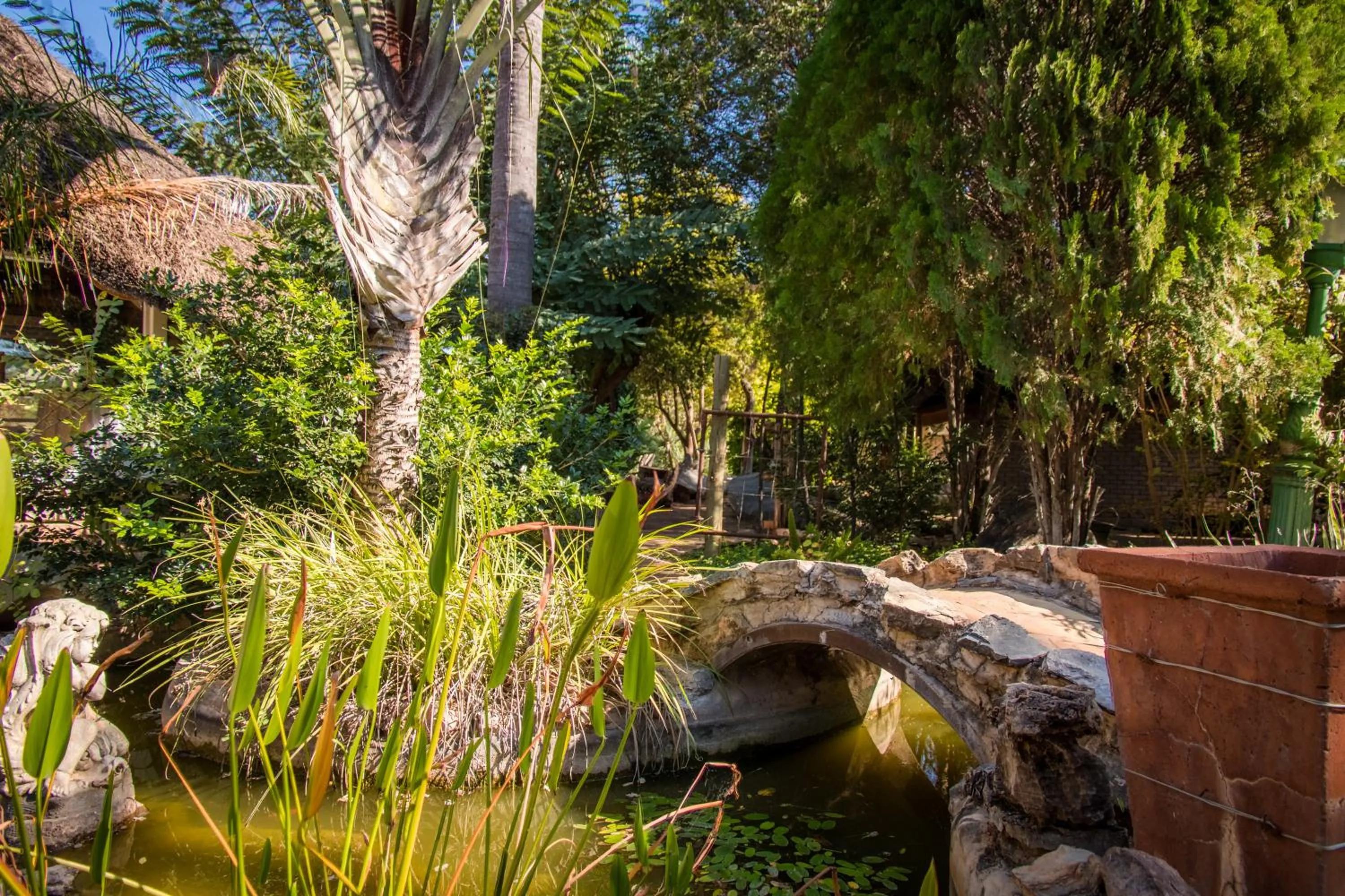 Garden view in Gabus Safari Lodge