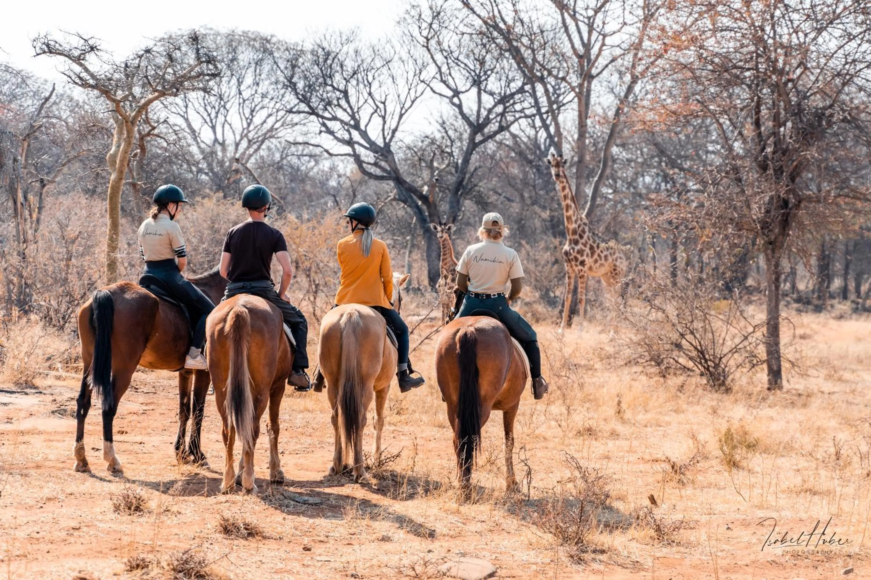 Horse-riding in Gabus Safari Lodge