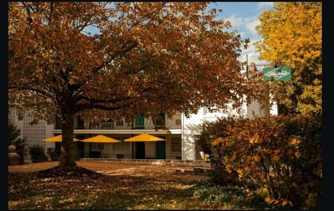 Property building in Little Mod Hotel at the University
