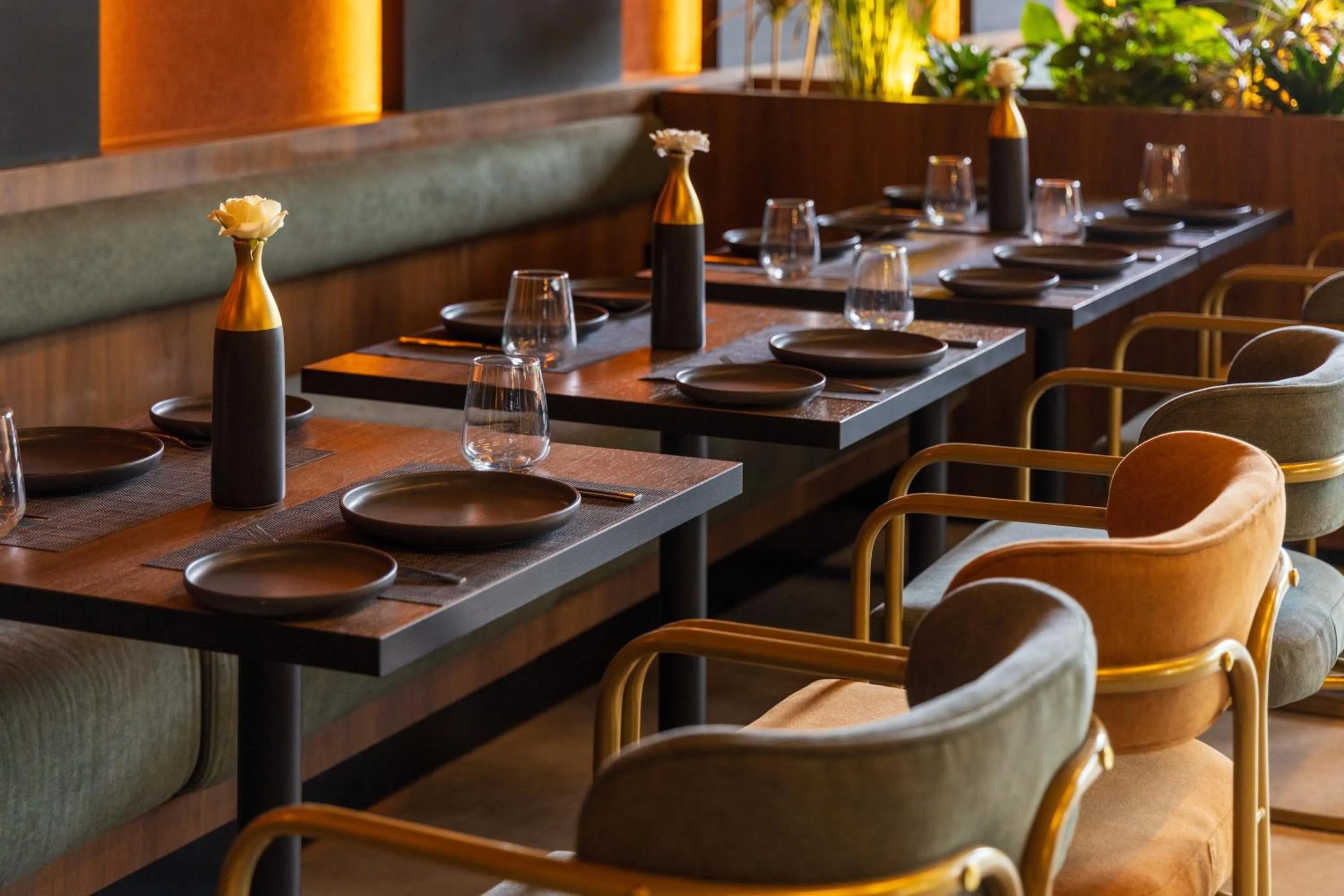 Restaurant/places to eat in DIAGONAL HOTEL