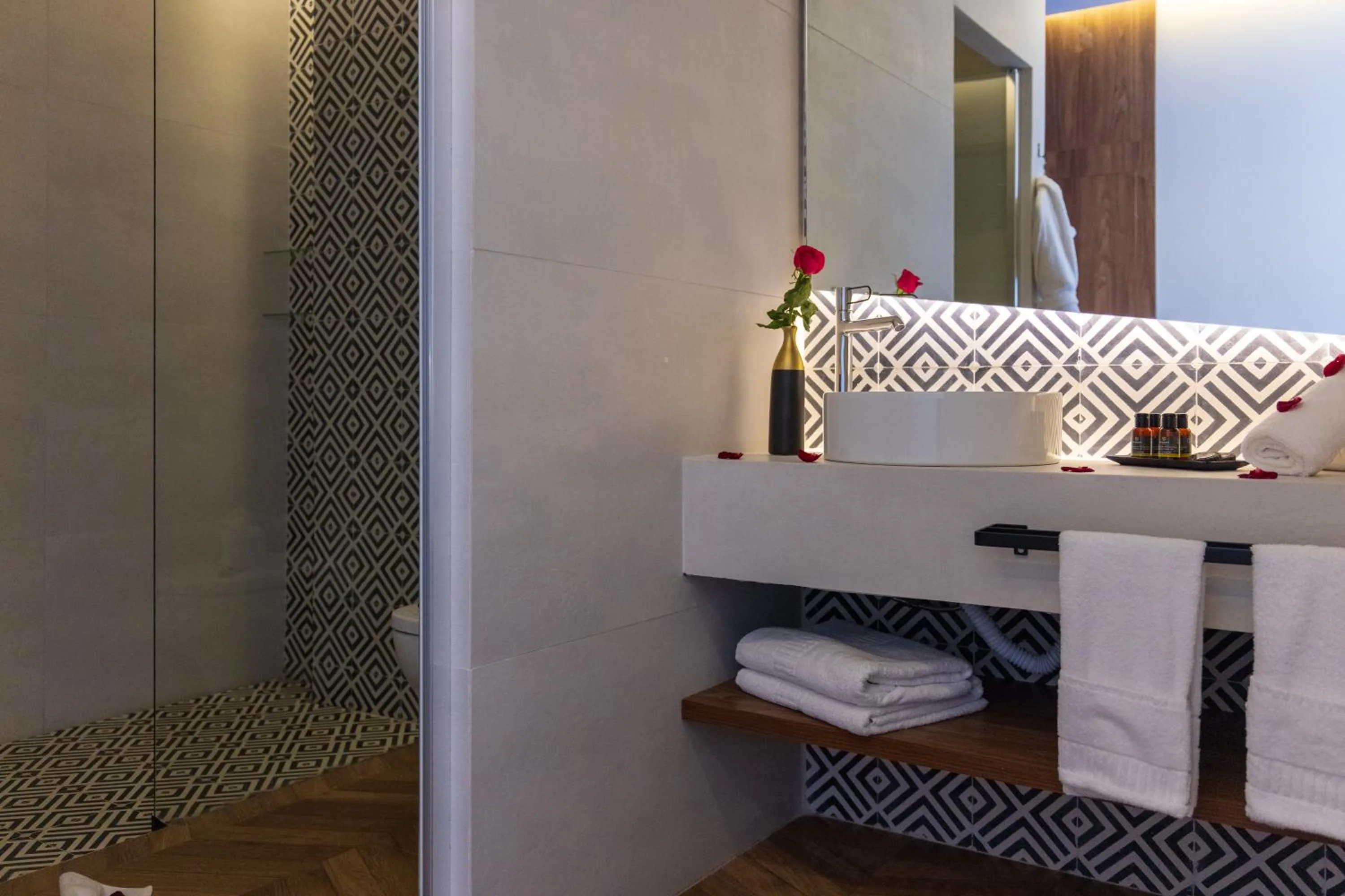 Bathroom in DIAGONAL HOTEL