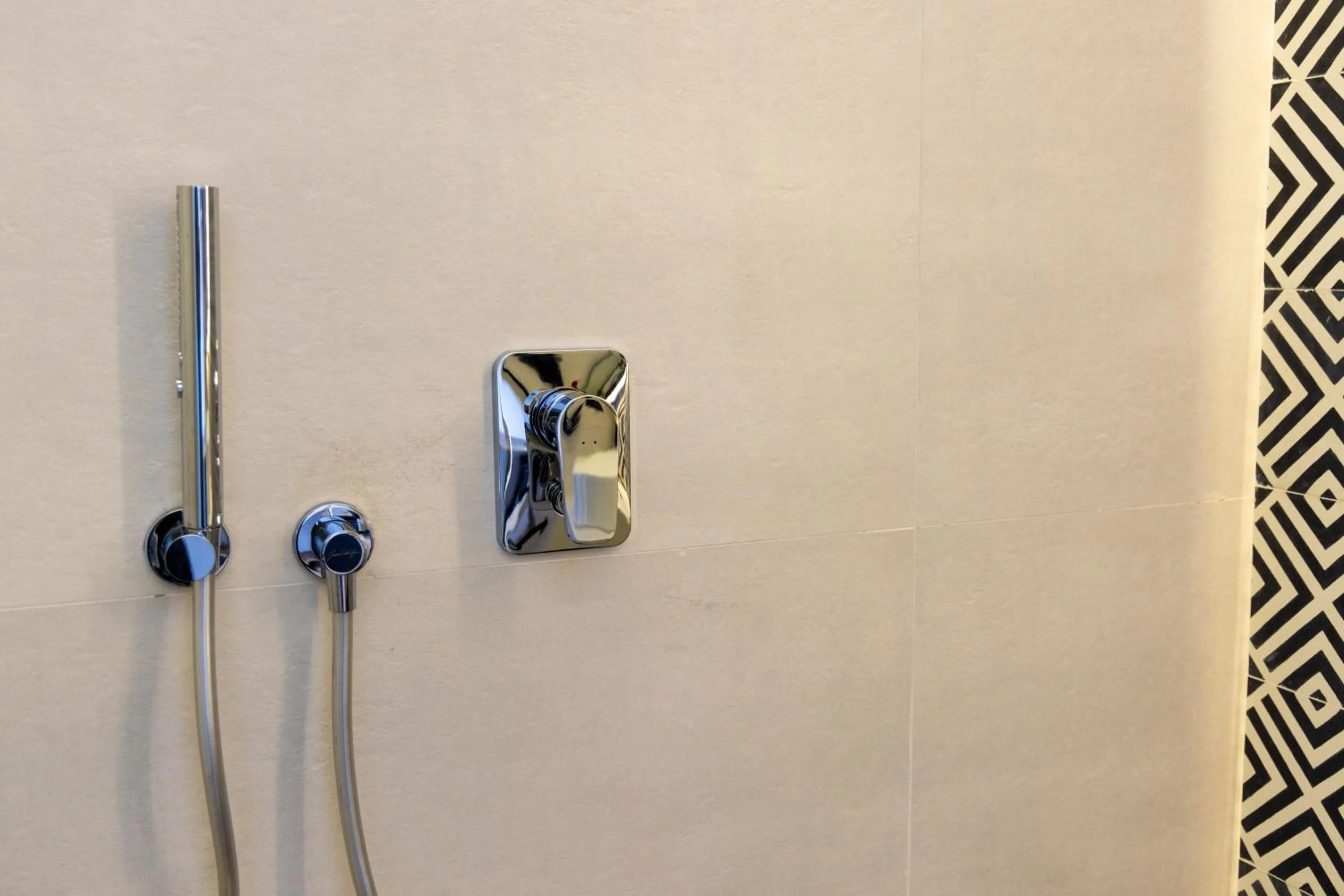 Shower in DIAGONAL HOTEL