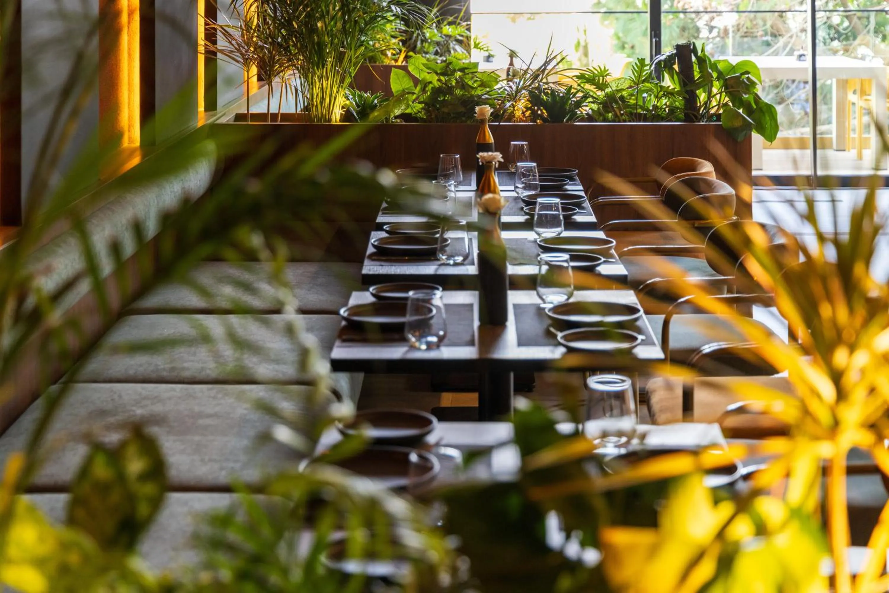 Restaurant/places to eat in DIAGONAL HOTEL