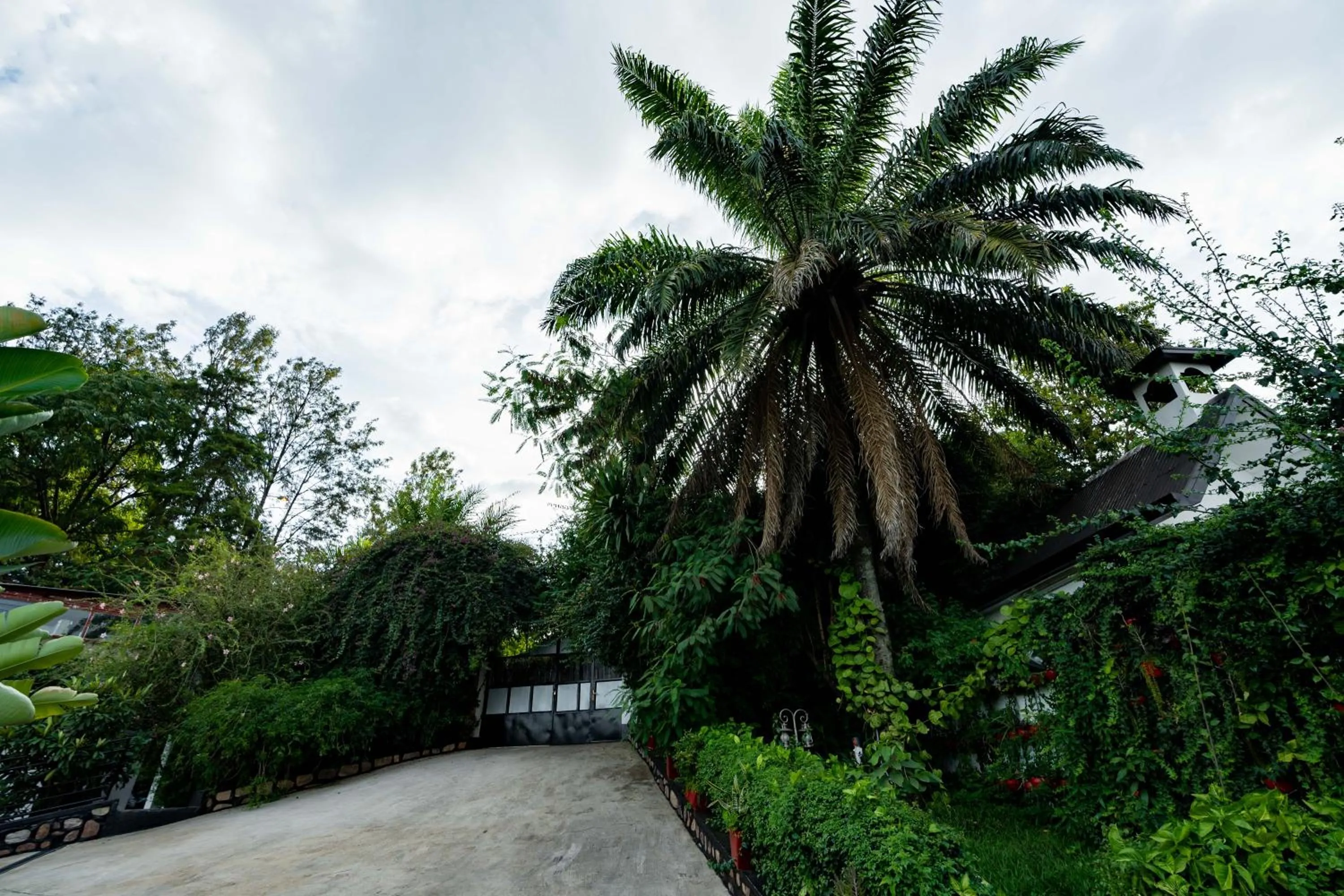 Blue Veil Villa Hotel