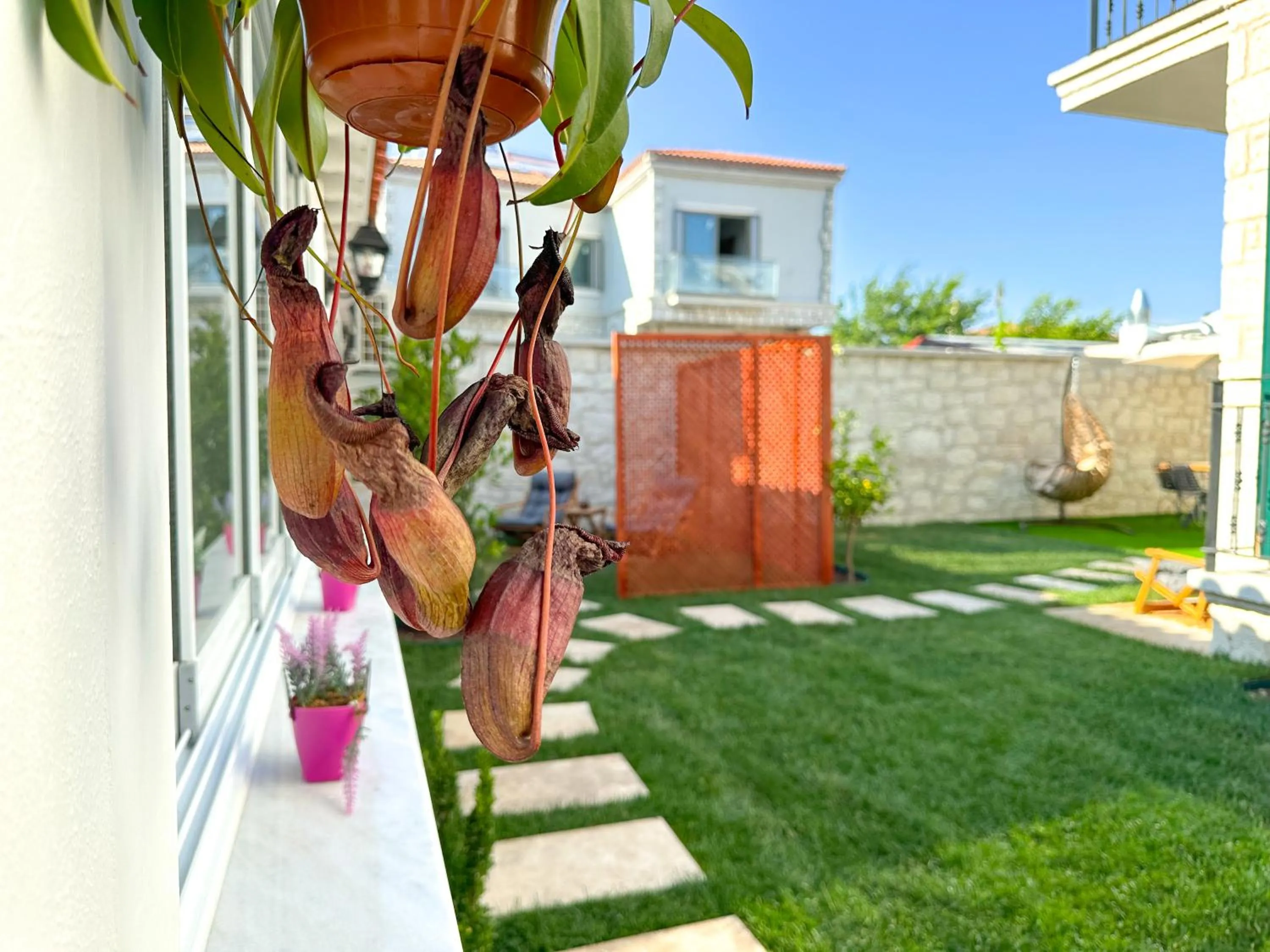 Property building in Müzeyyen Hanım Konağı Alaçatı