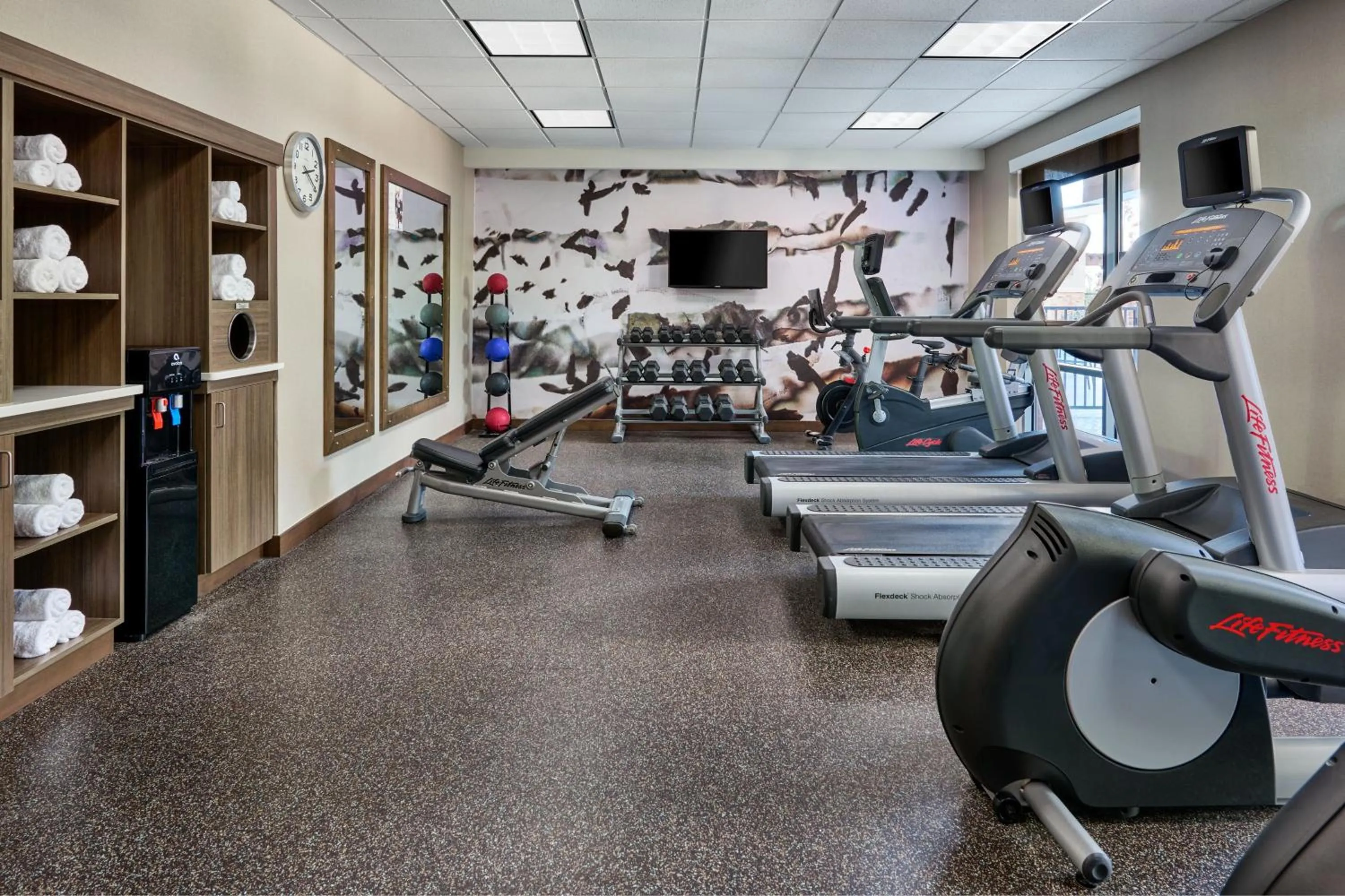 Fitness centre/facilities in Residence Inn by Marriott Nashville South East/Murfreesboro