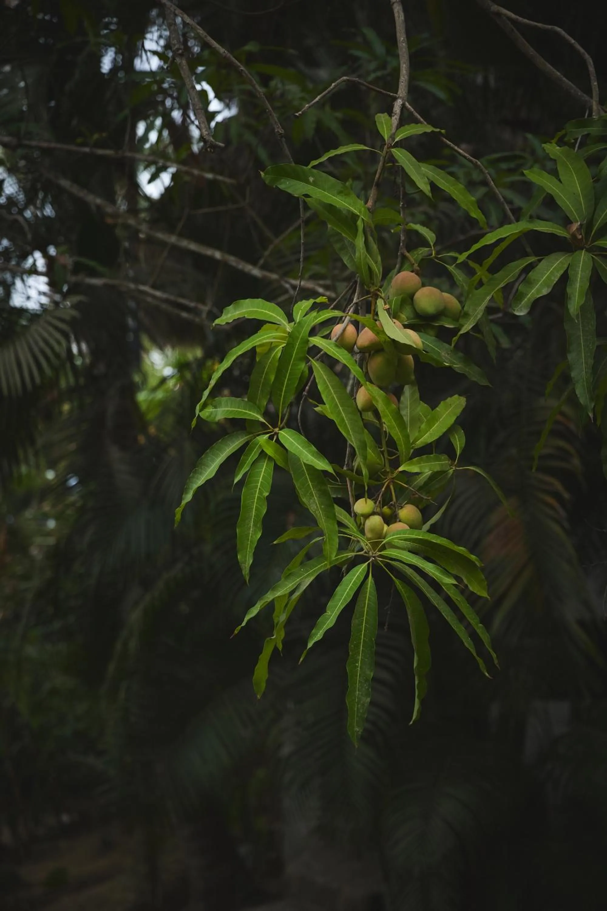 Natural landscape in CASITAS MARAIKA HOTEL & BEACH CLUB, Puerto Vallarta