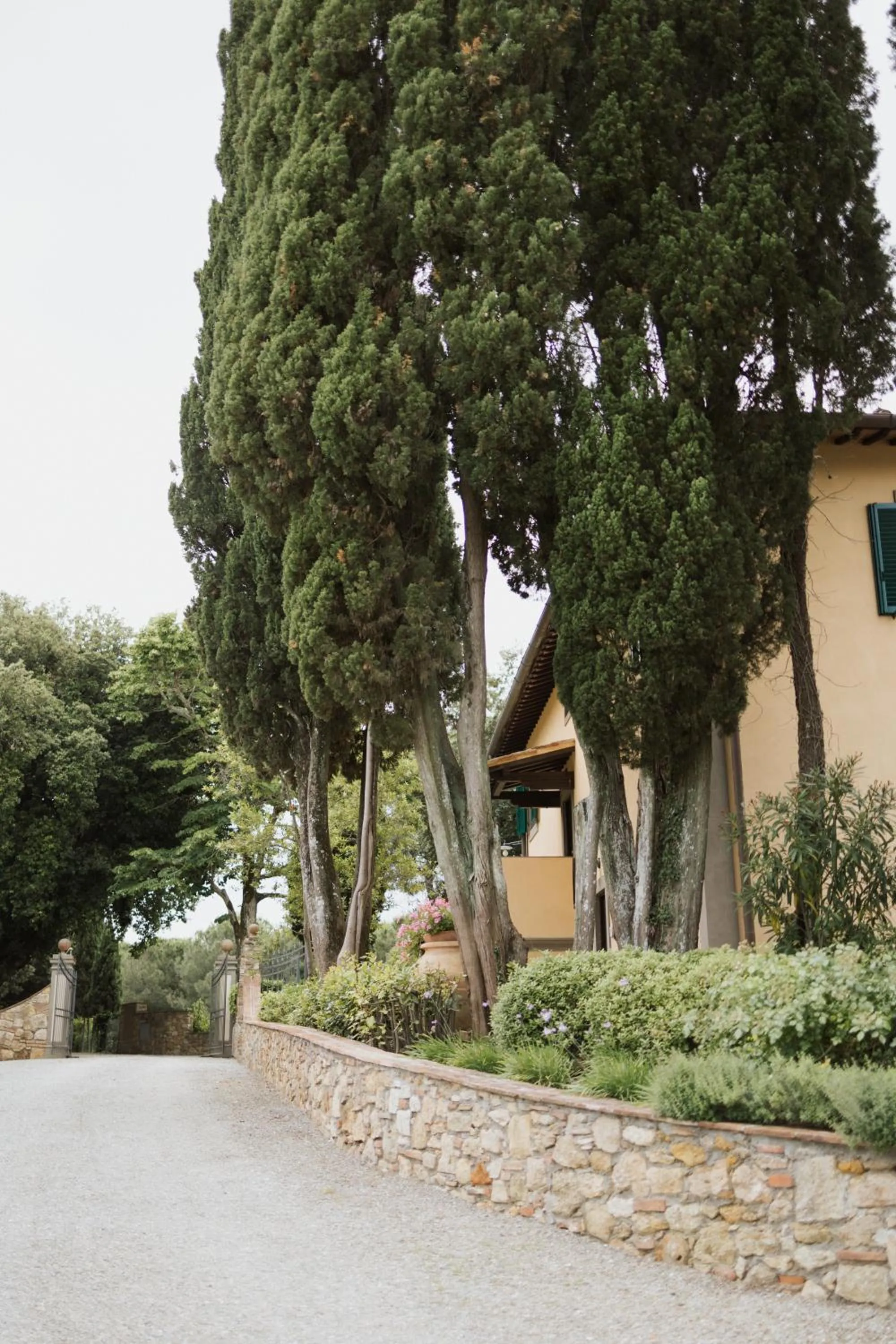 Garden view in Villa Delia Hotel and Cooking School