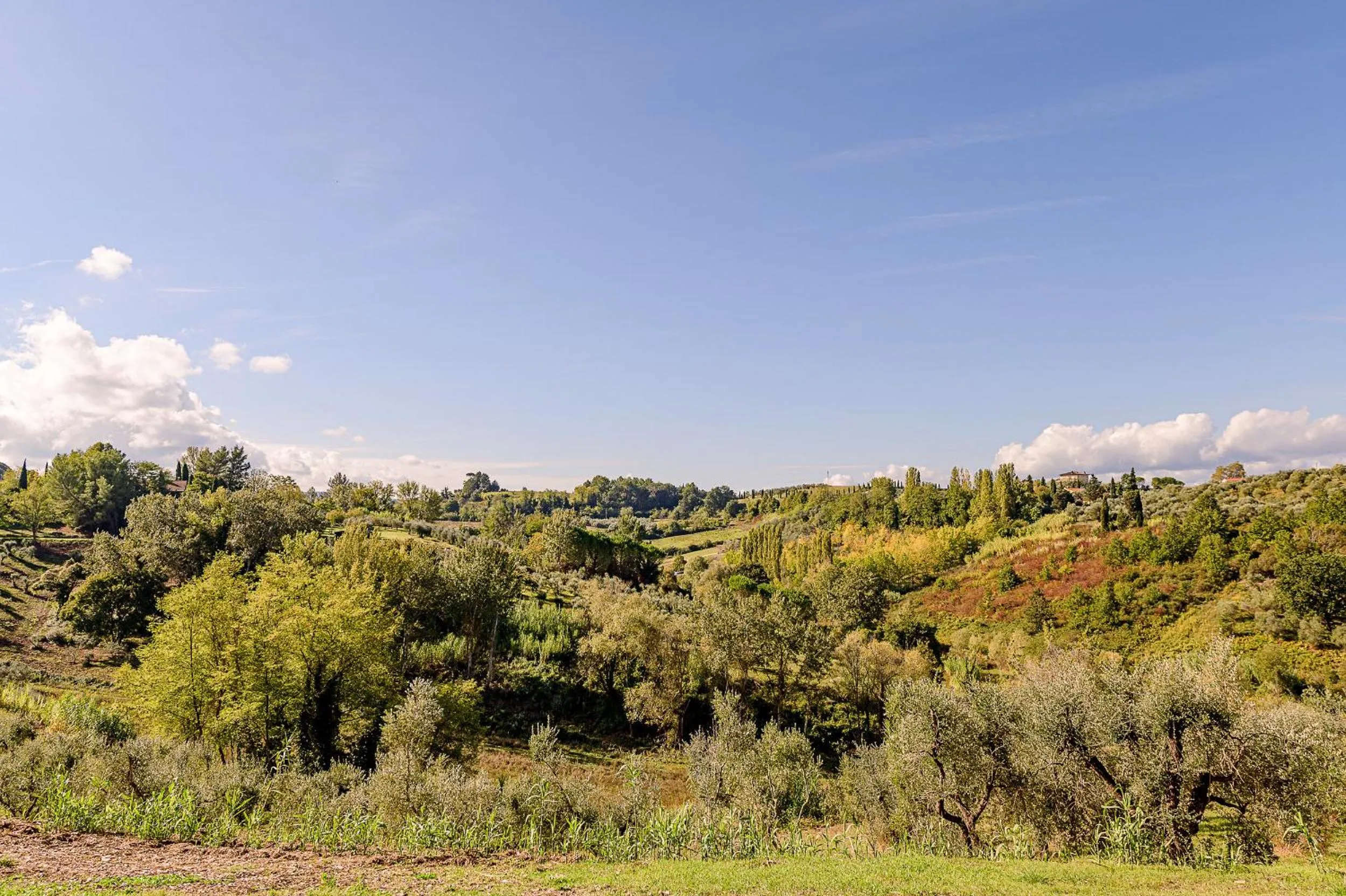 Villa Delia Hotel and Cooking School